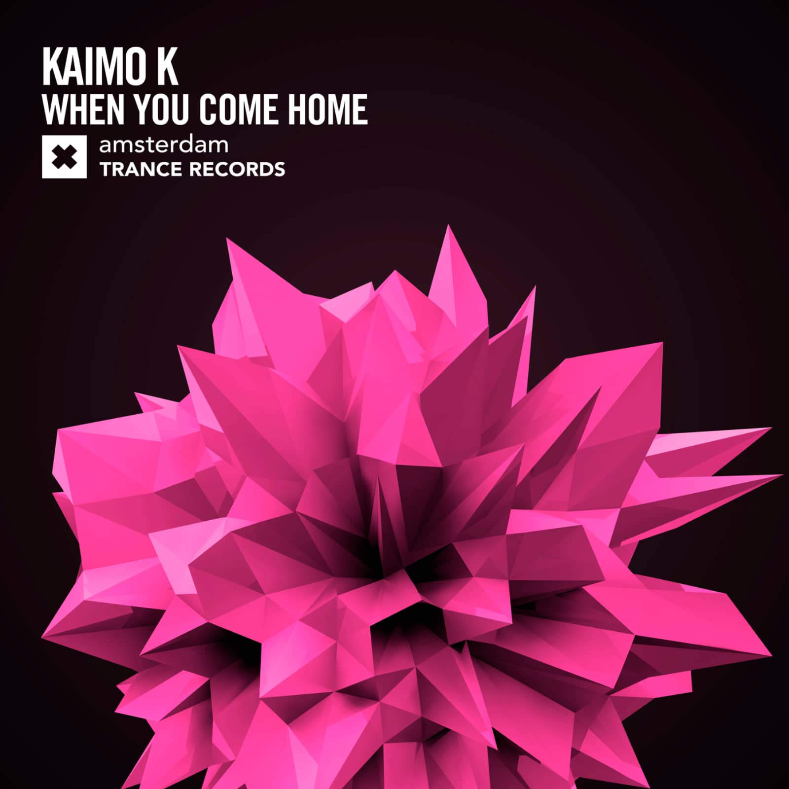 Kaimo K — When You Come Home (Myde Extended Rework)