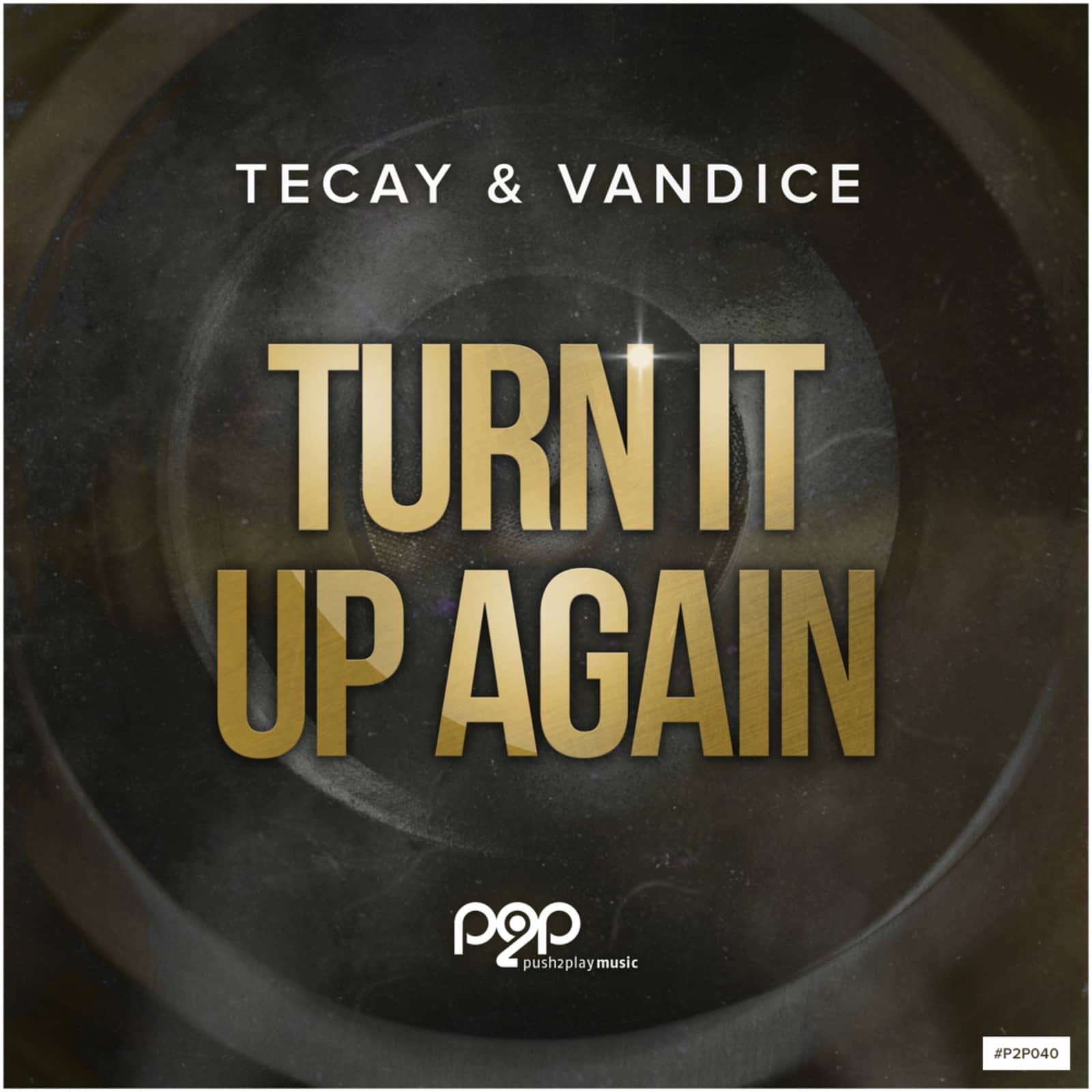 TeCay Vandice — Turn It Up Again (DJ R.Gee Über Nacht Radio)
