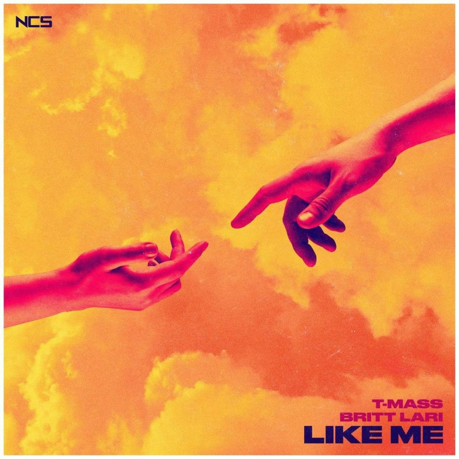 T-Mass & Britt Lari — Like Me