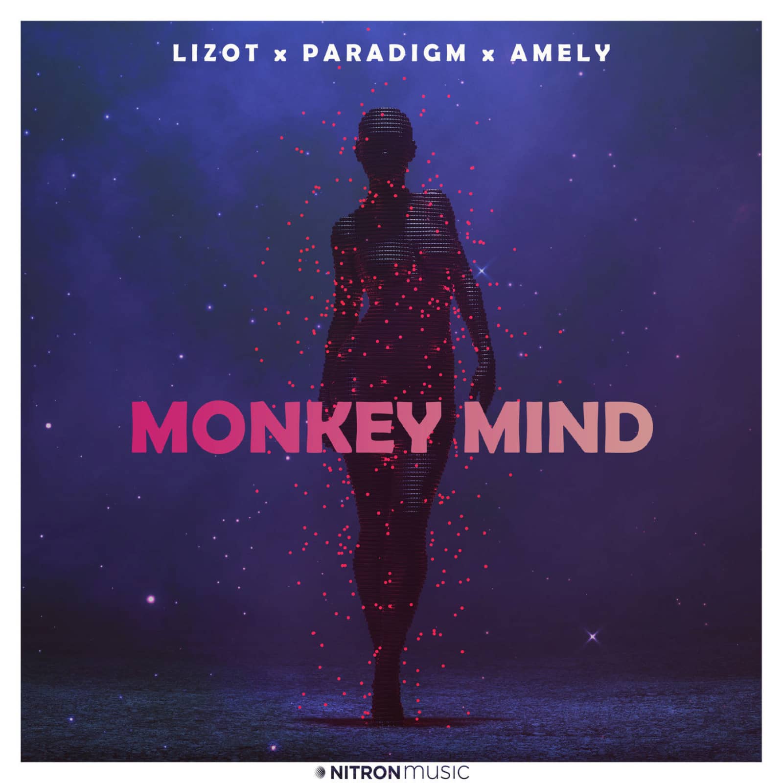 Lizot / Paradigm / Amely — Monkey Mind