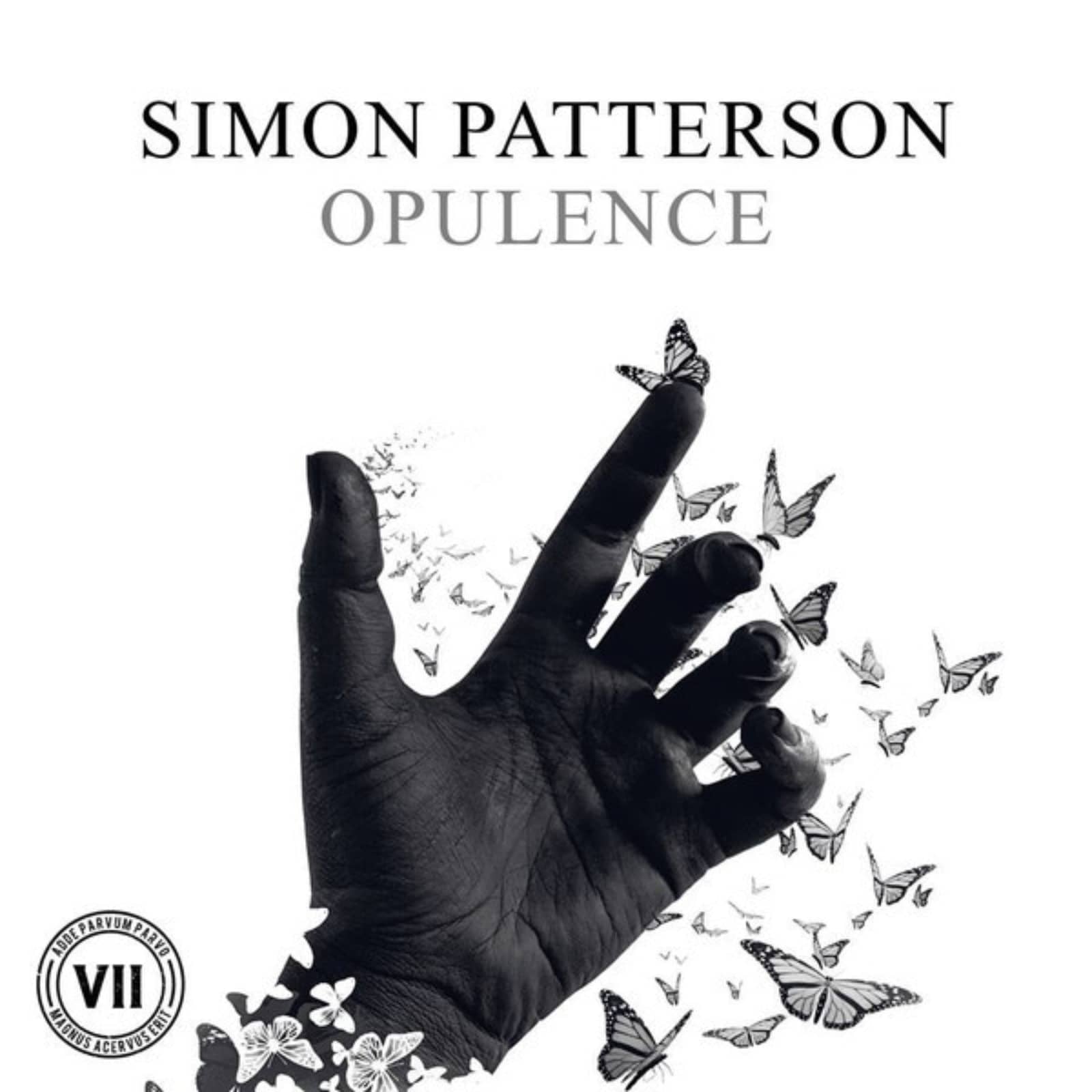 Simon Patterson — Opulence (Original Mix)