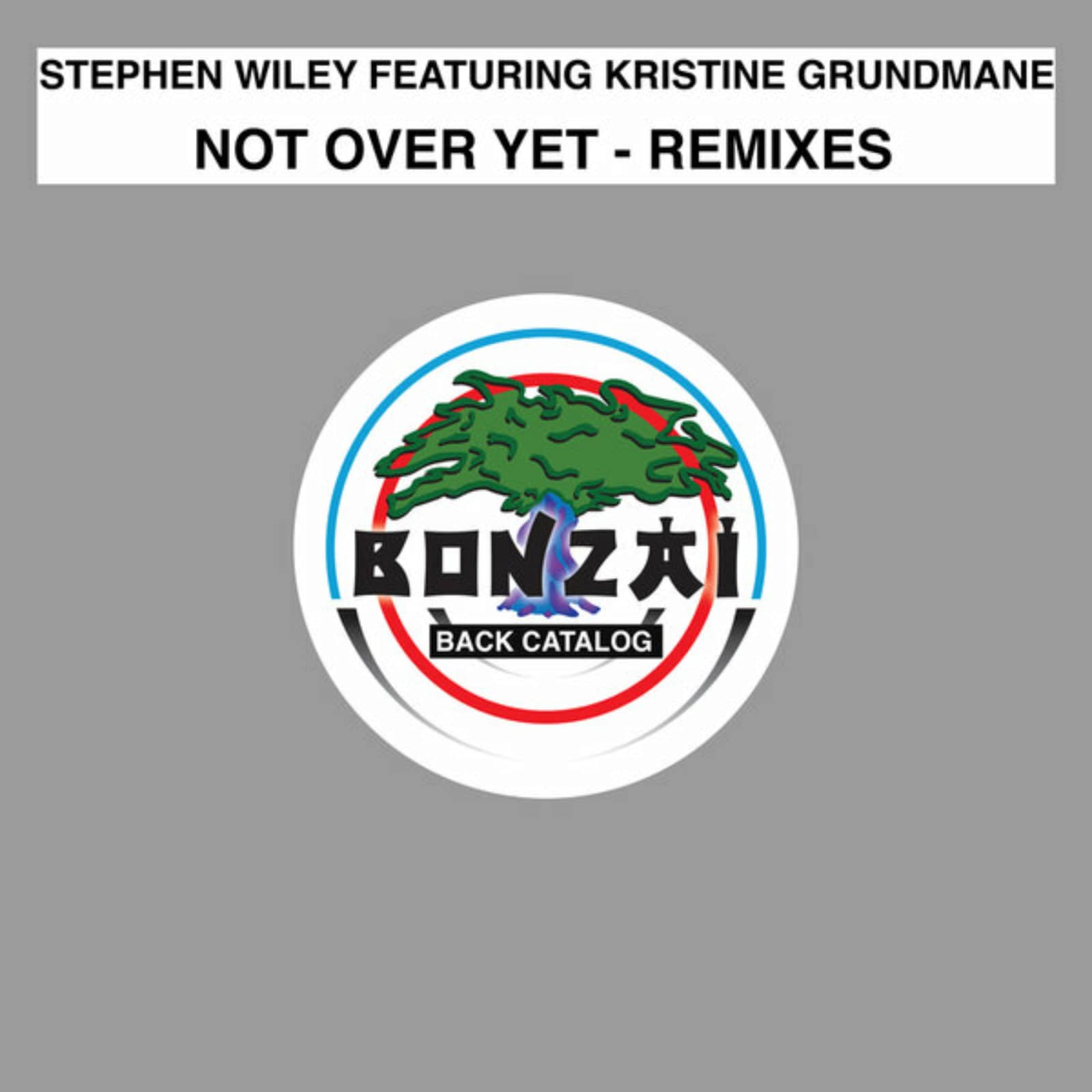 Stephen Wiley ft. Kristine Grundmane — Not Over Yet (Tasadi & Perj Remix)