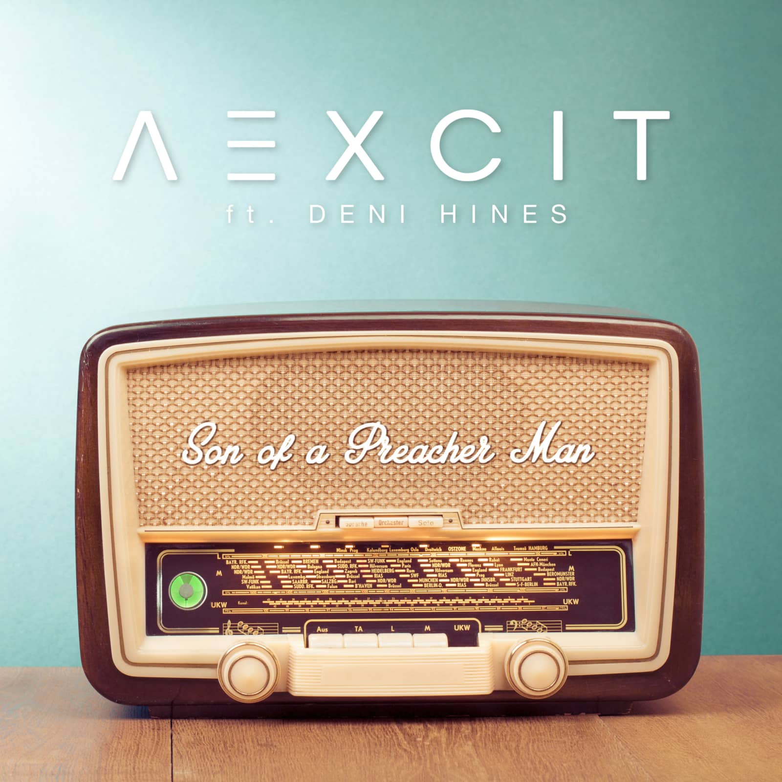 Aexcit feat. Deni Hines — Son of a Preacher Man