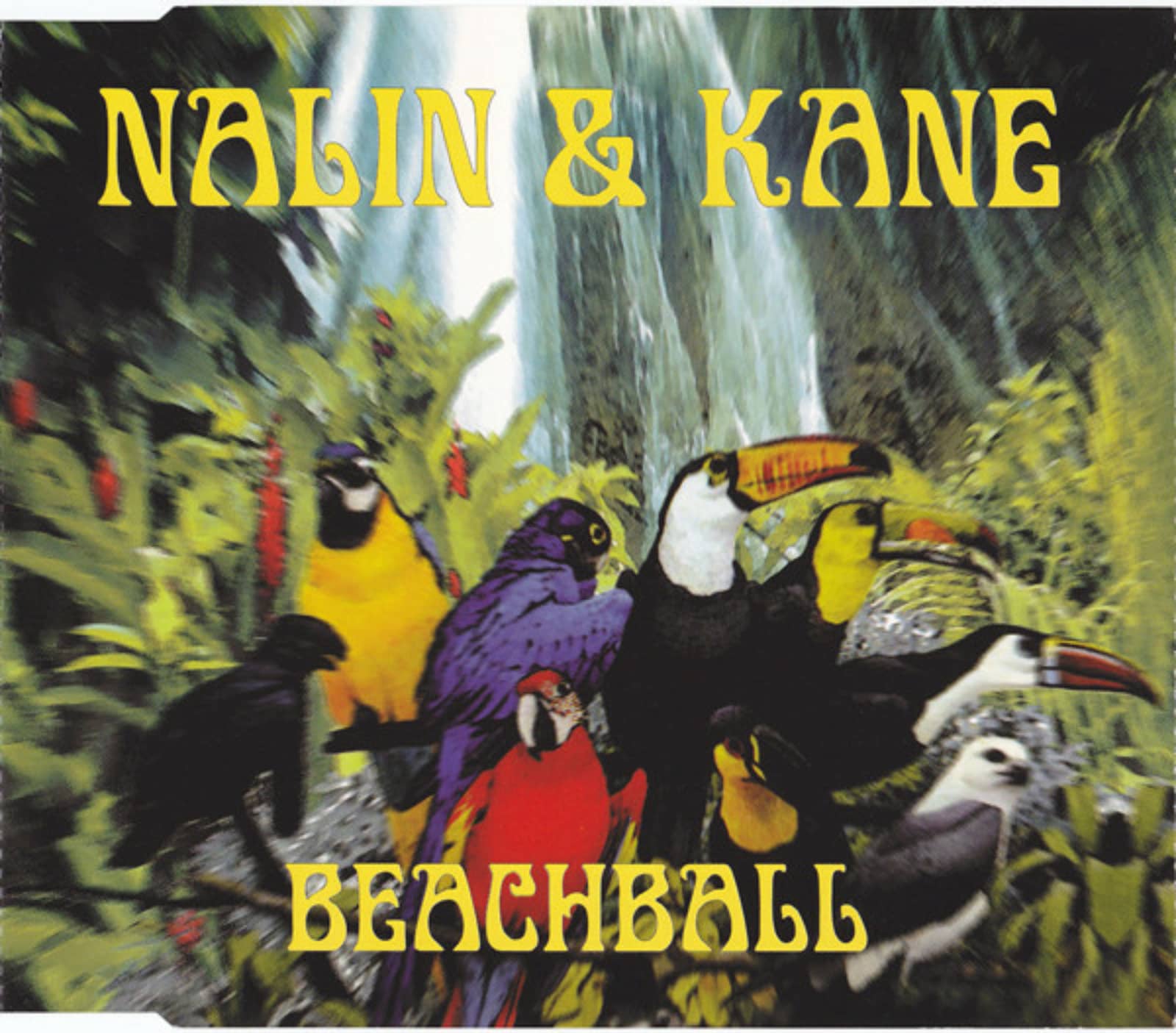 Nalin & Kane — Beachball