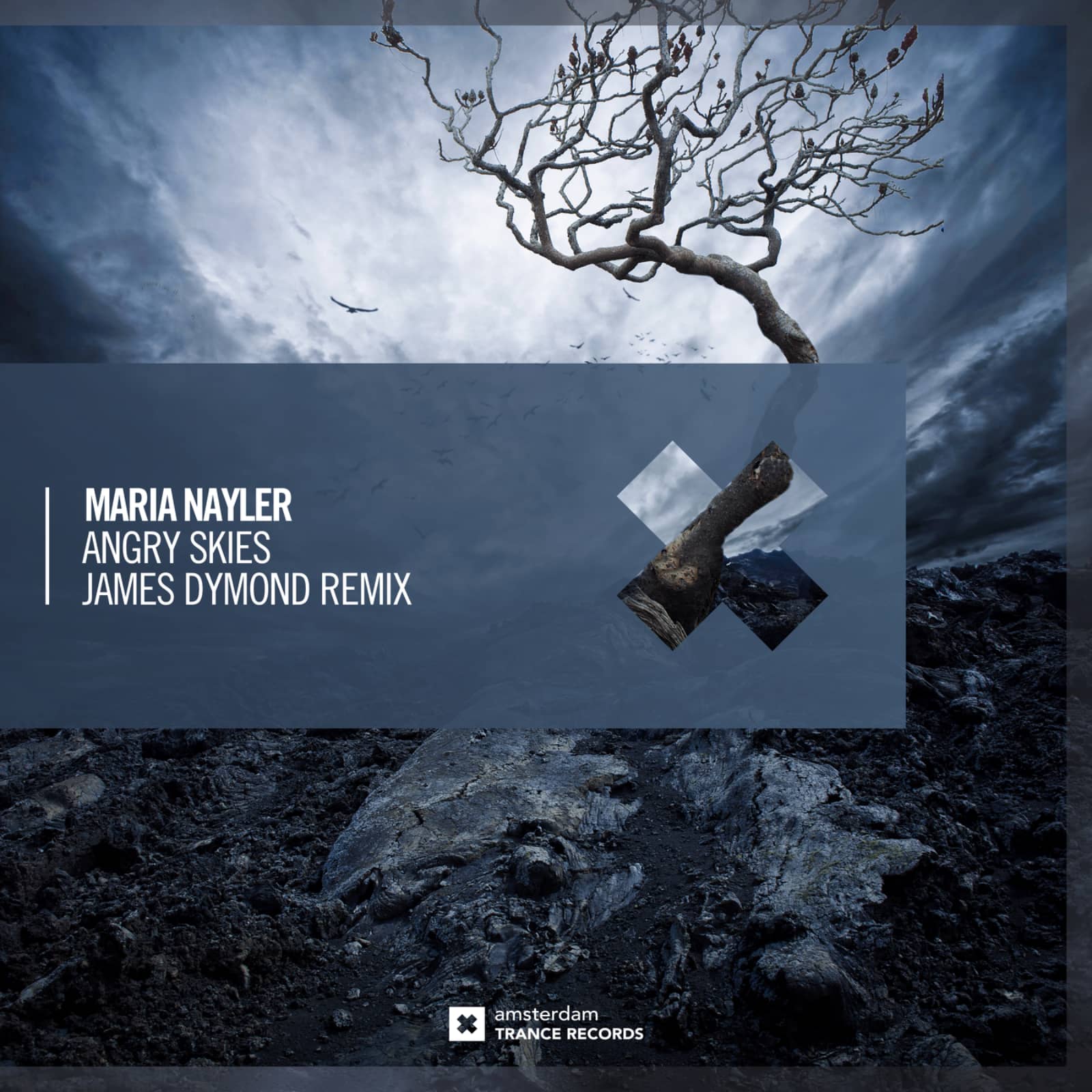 Maria Nayler — Angry Skies (James Dymond Remix)