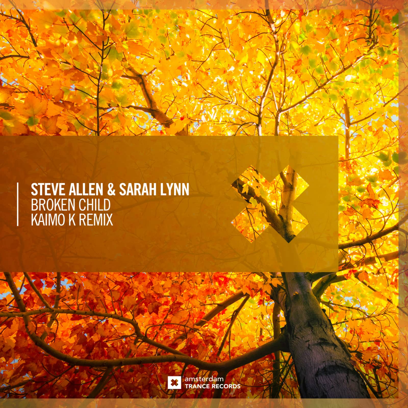 Steve Allen & Sarah Lynn — Broken Child (Kaimo K Remix)