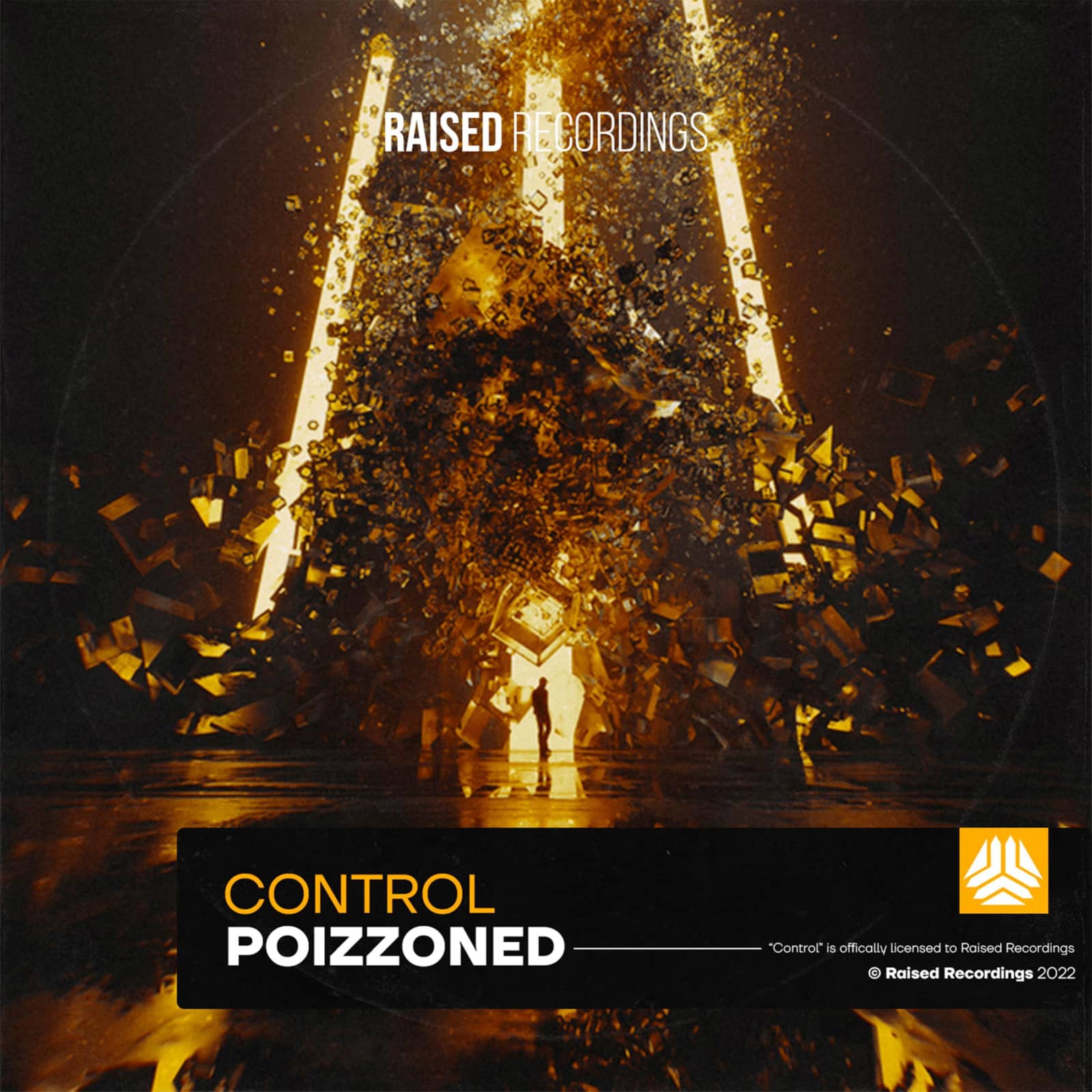 POIZZONED — Control