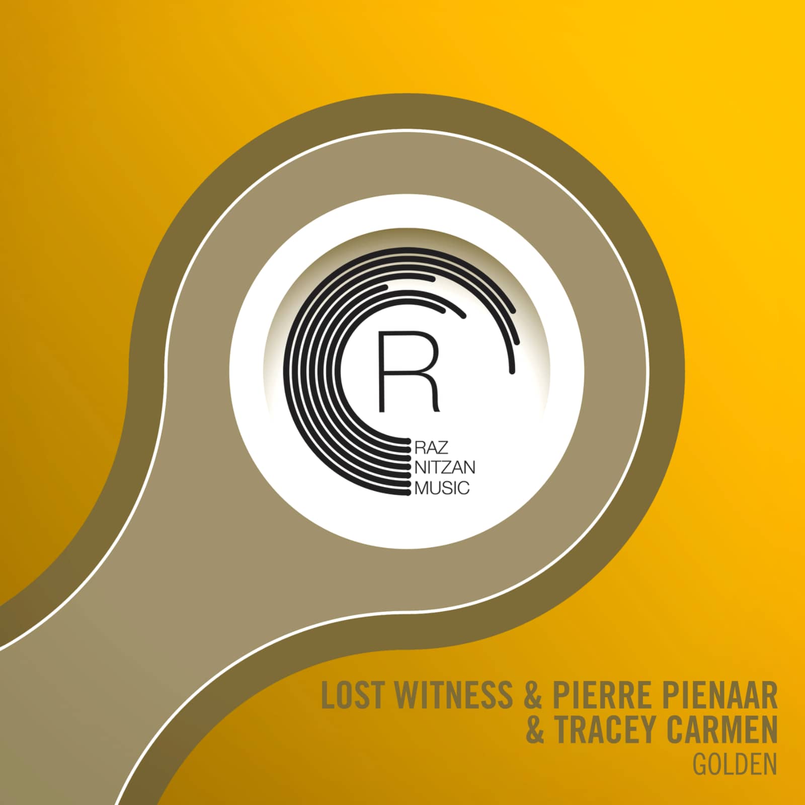 Lost Witness, Pierre Pienaar, Tracey Carmen — Golden