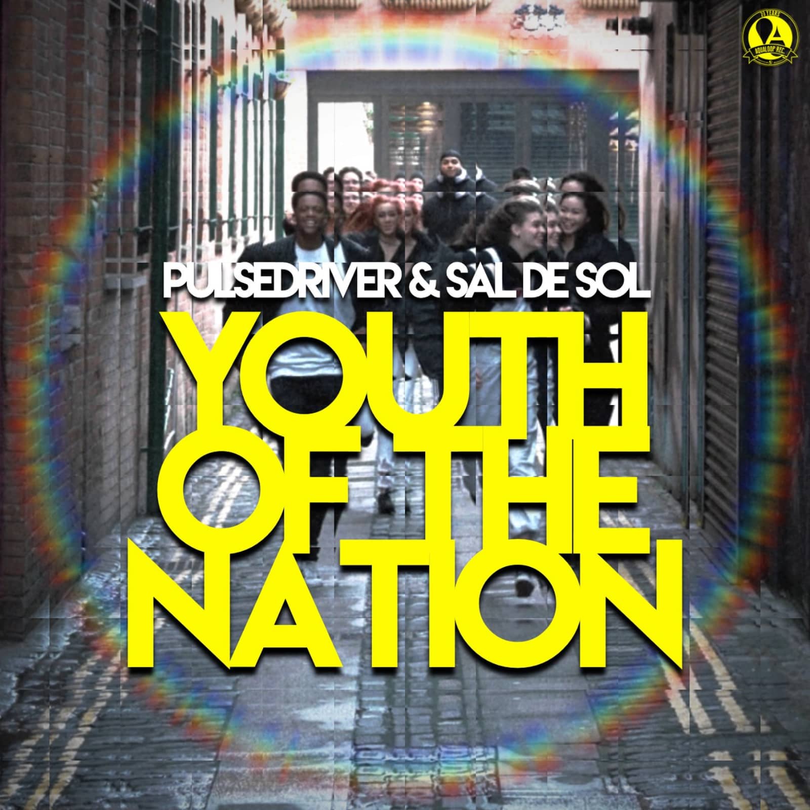 Pulsedriver & Sal De Sol — Youth Of The Nation (Extended Mix)