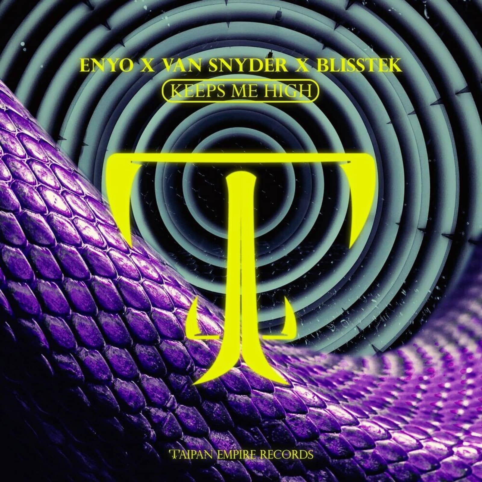 Blisstek & Enyo & Van Snyder — Keeps Me High (Extended Mix)