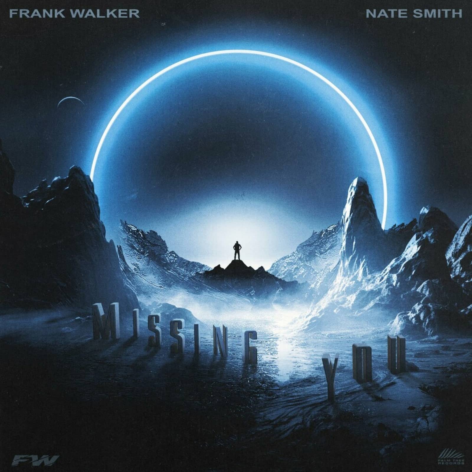 Frank Walker feat. Nate Smith — Missing You