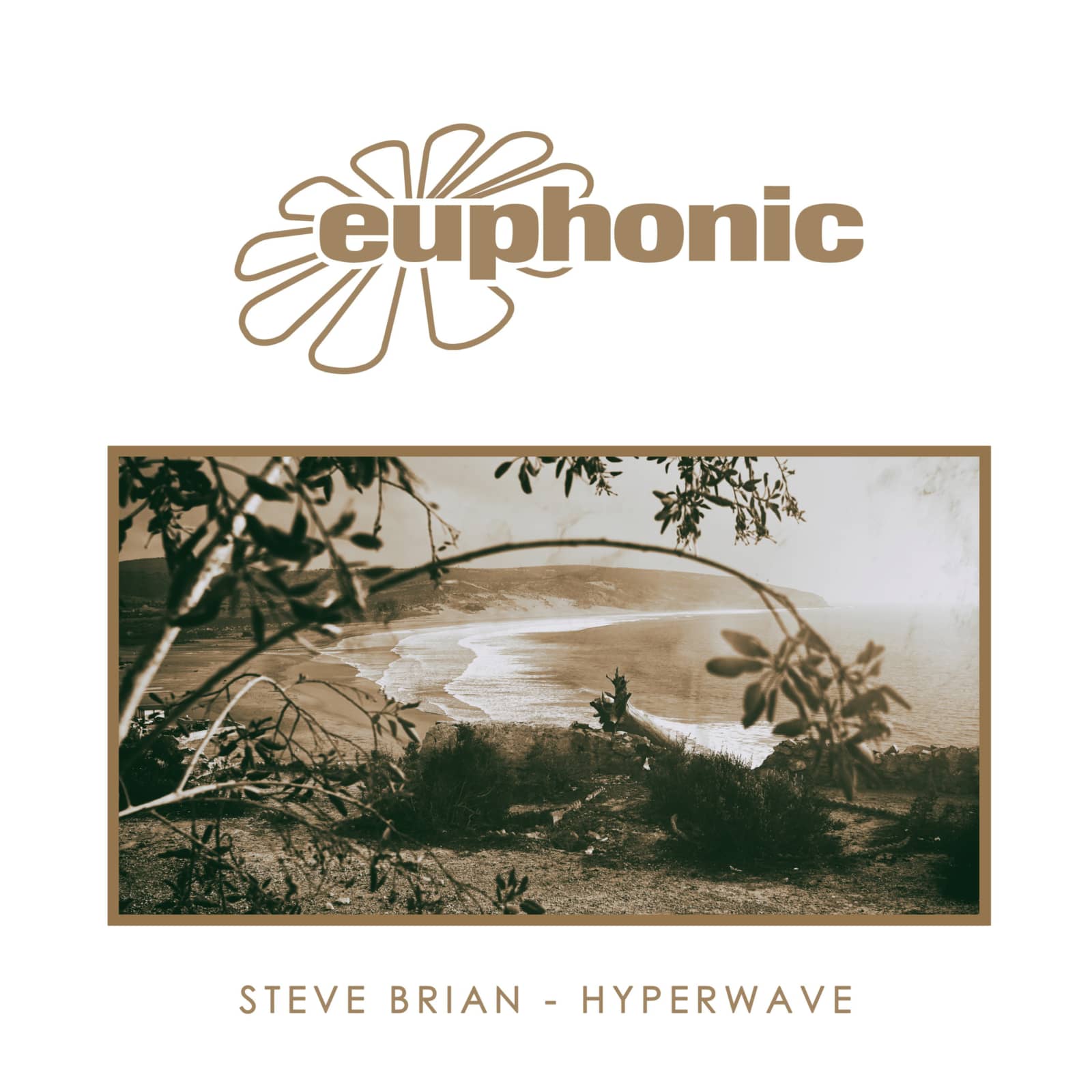 Steve Brian — Hyperwave