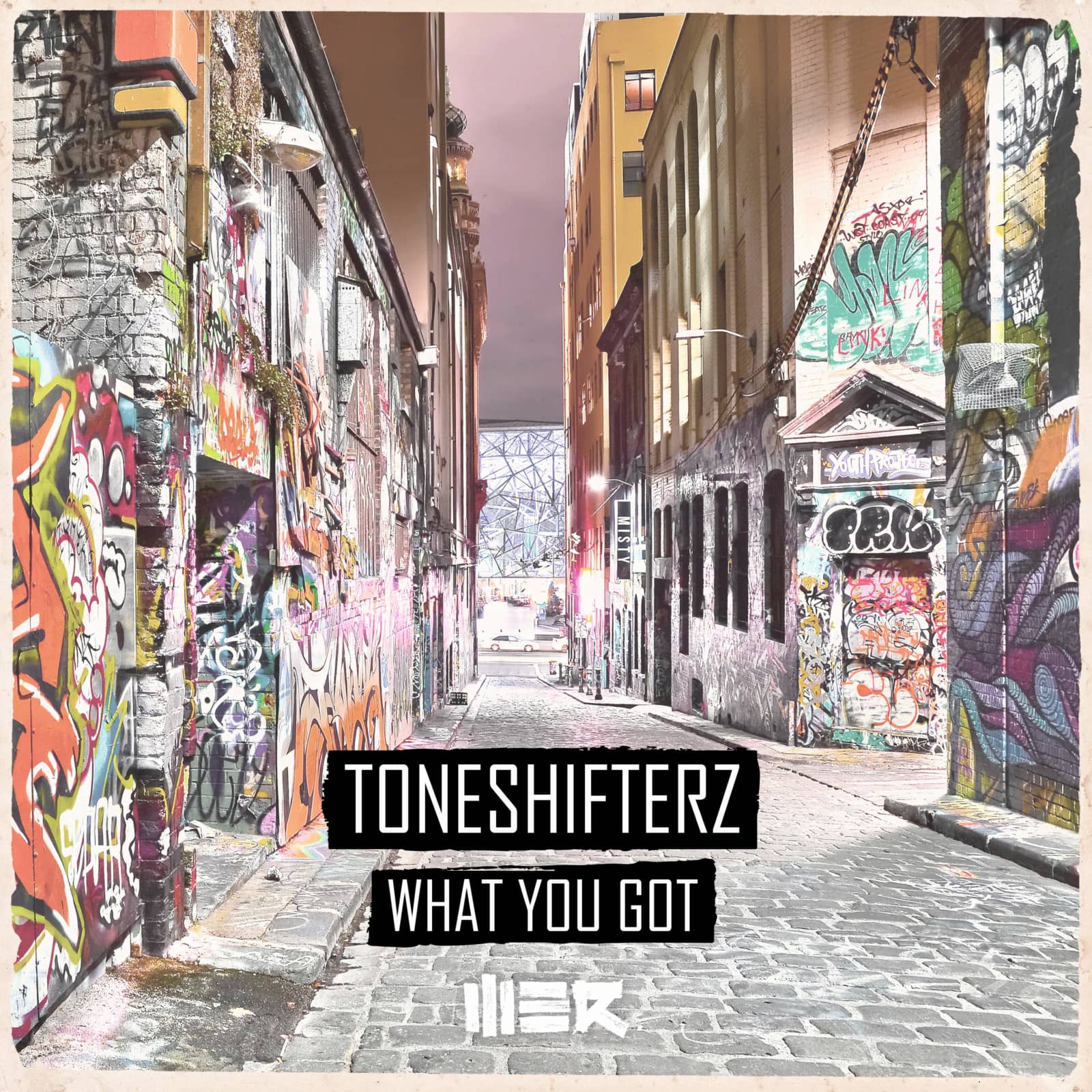 Toneshifterz — What You Got