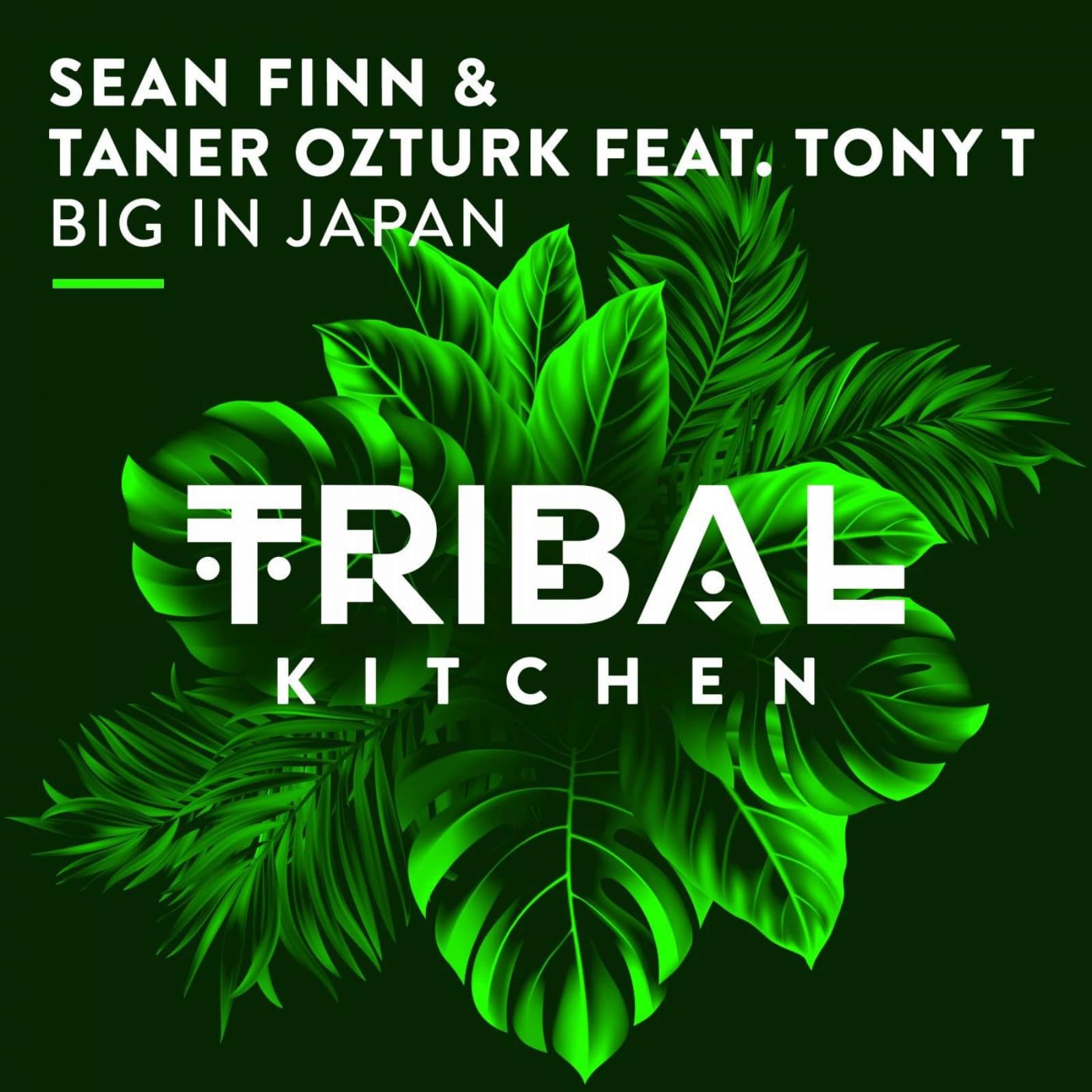 Sean Finn/Taner Ozturk/Tony T — Big in Japan