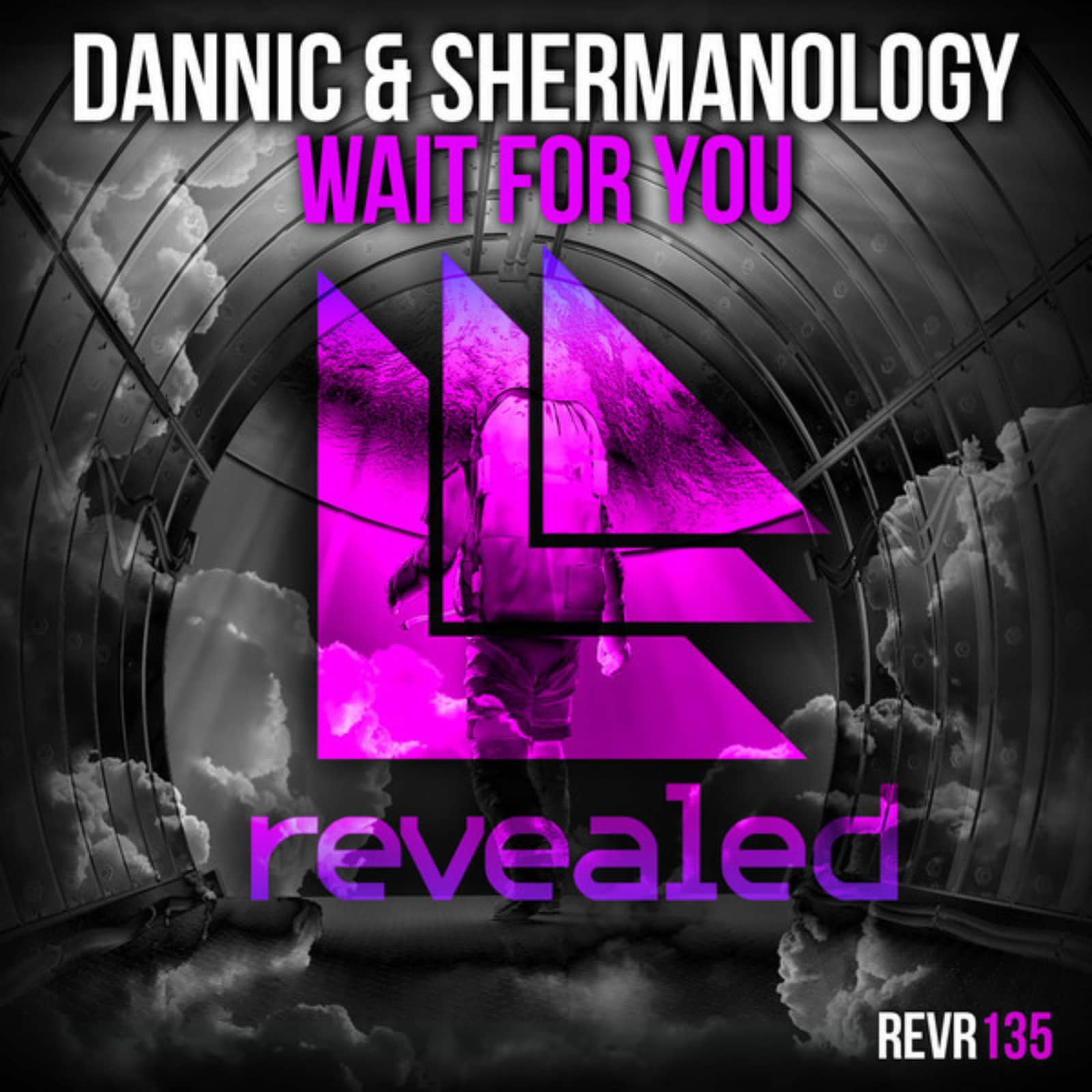 Dannic & Shermanology — Wait For You (Original Mix)