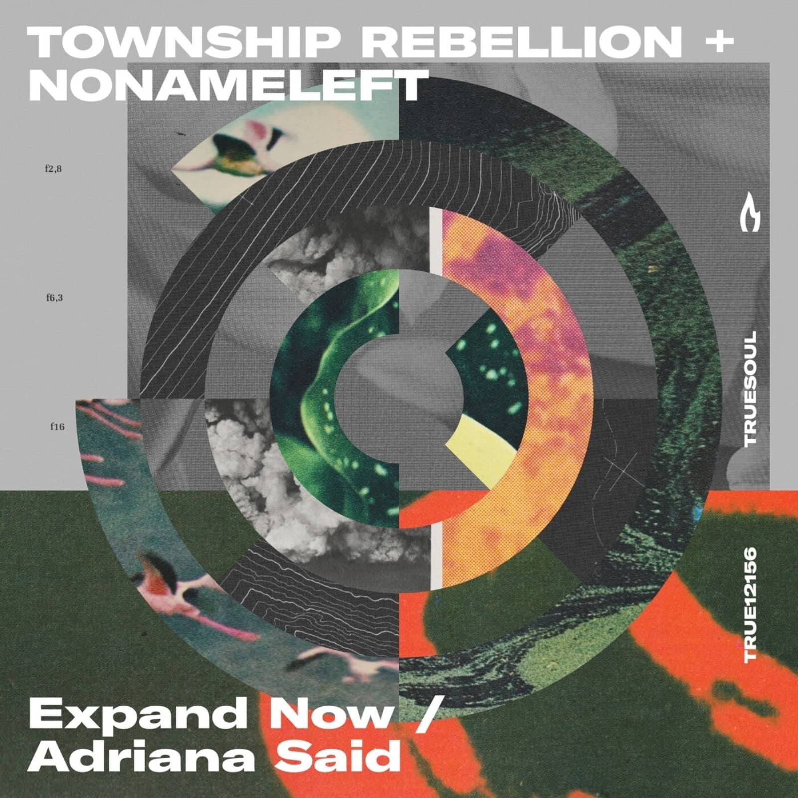 Township Rebellion & NoNameLeft — Adriana Said (Original Mix)