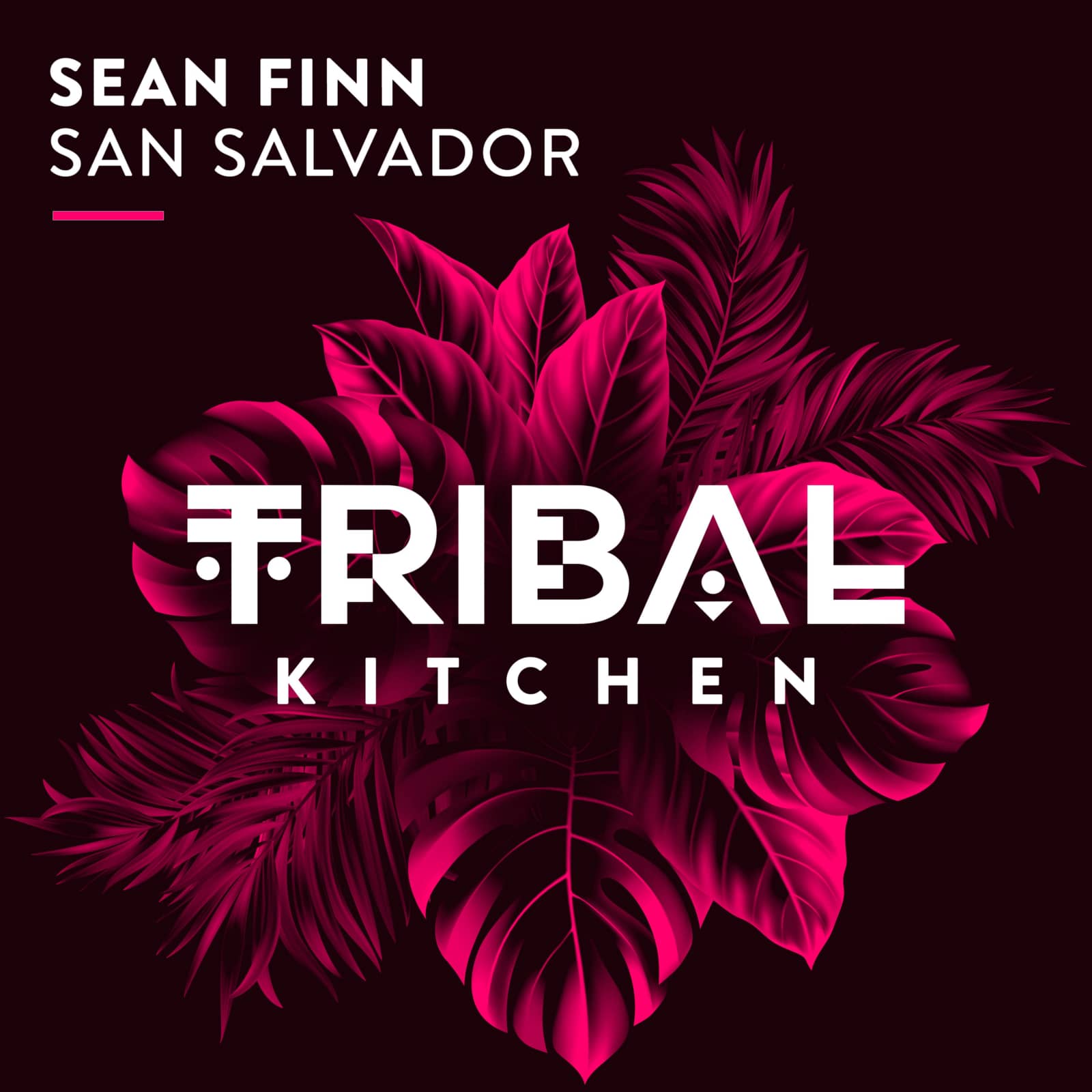 Sean Finn — San Salvador
