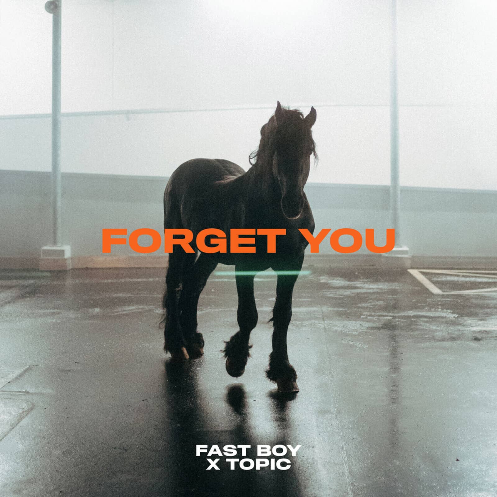 Fast Boy x Topic — Forget You