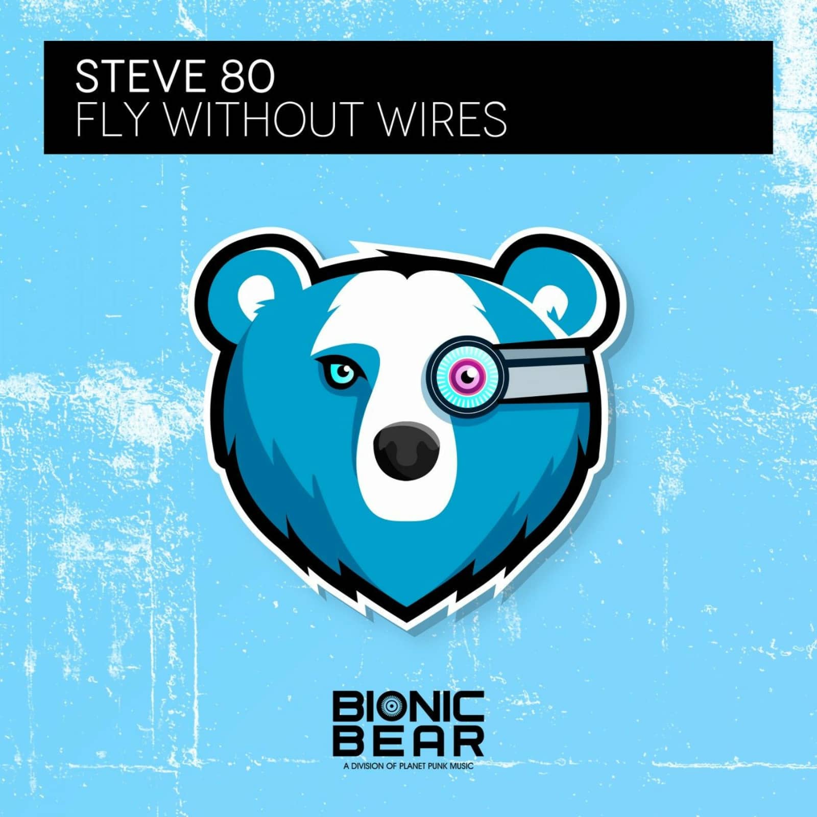 Steve 80 — Fly Without Wires