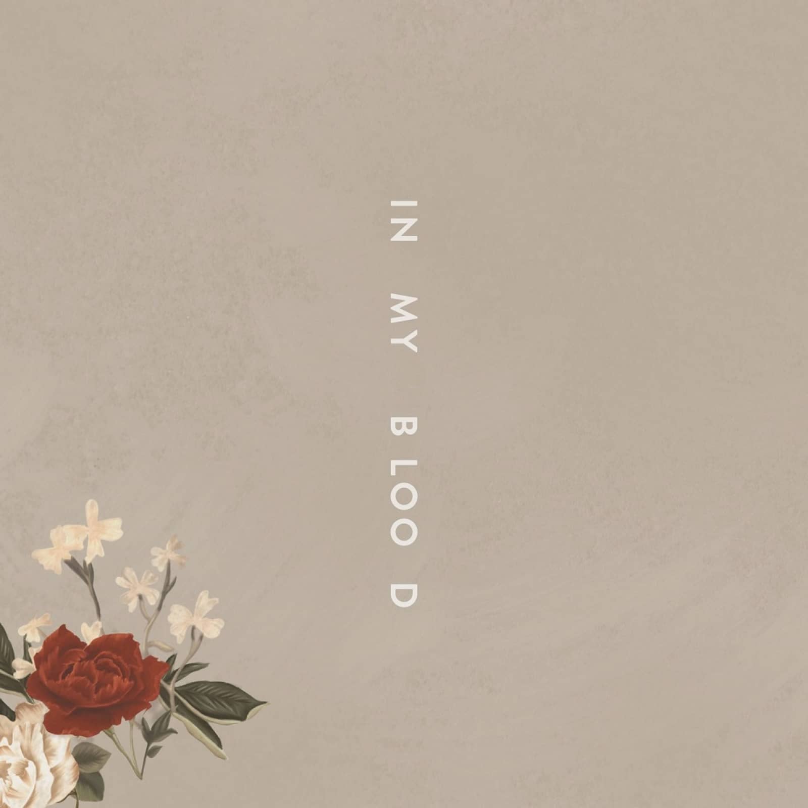 Shawn Mendes — In My Blood