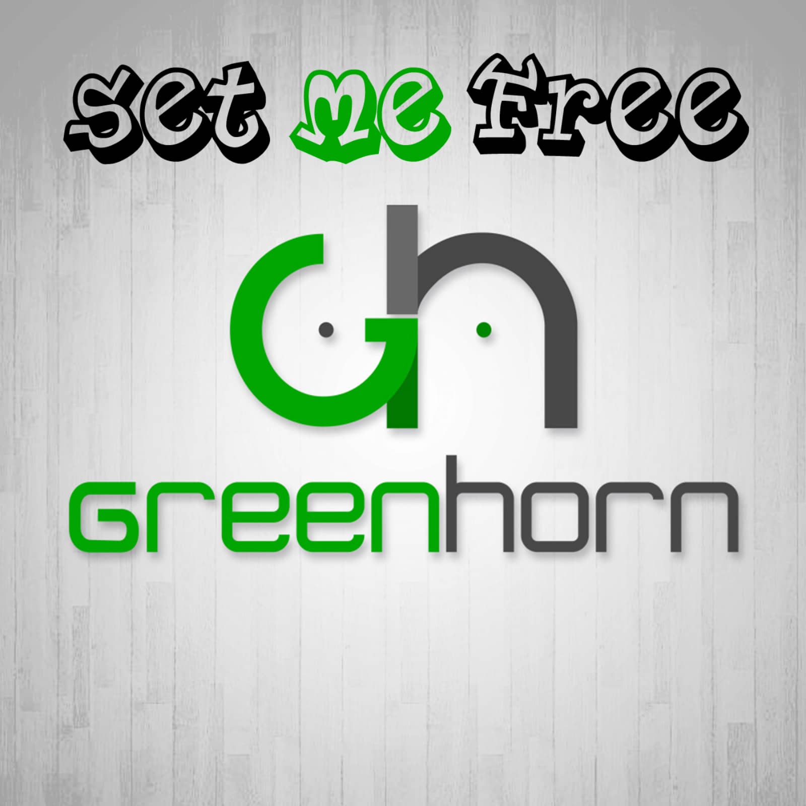 Greenhorn — Set Me Free (Shaun Baker Remix)