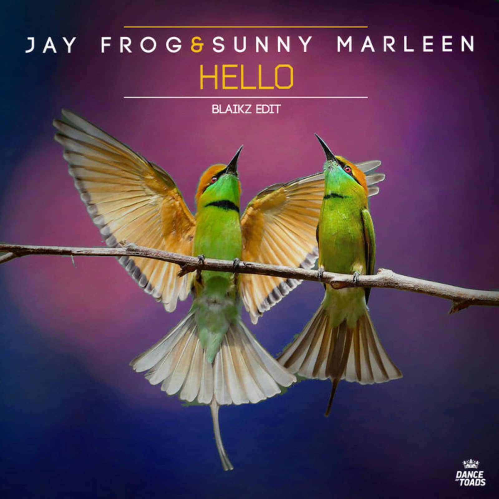 Jay Frog feat. Sunny Marleen — Hello (Blaikz Radio Edit)