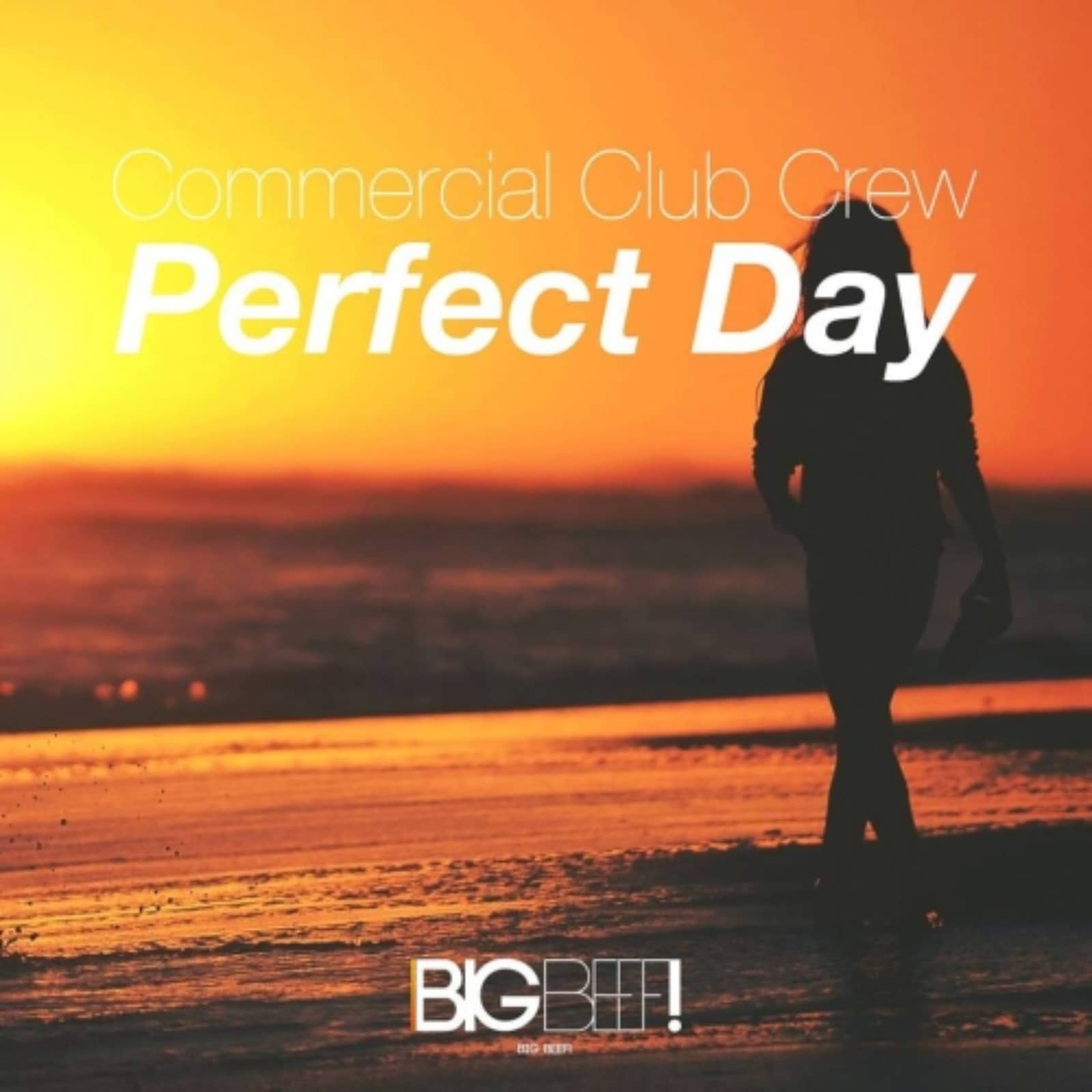 Perfect day. Commercial Club Crew. Perfect Day картинки. Джаст э Перфект Дэй.