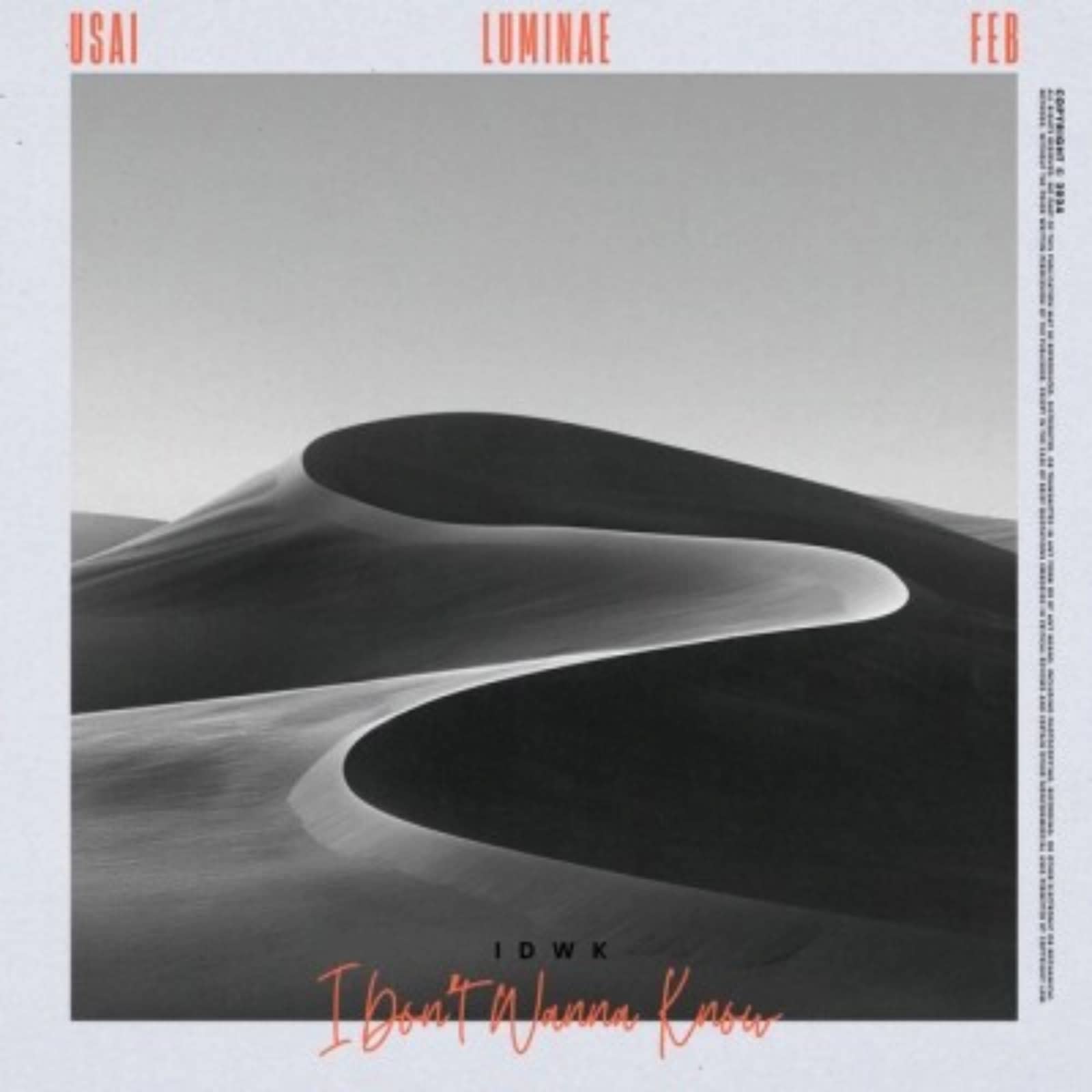 LUMINAE/USAI/Feb — I Don't Wanna Know