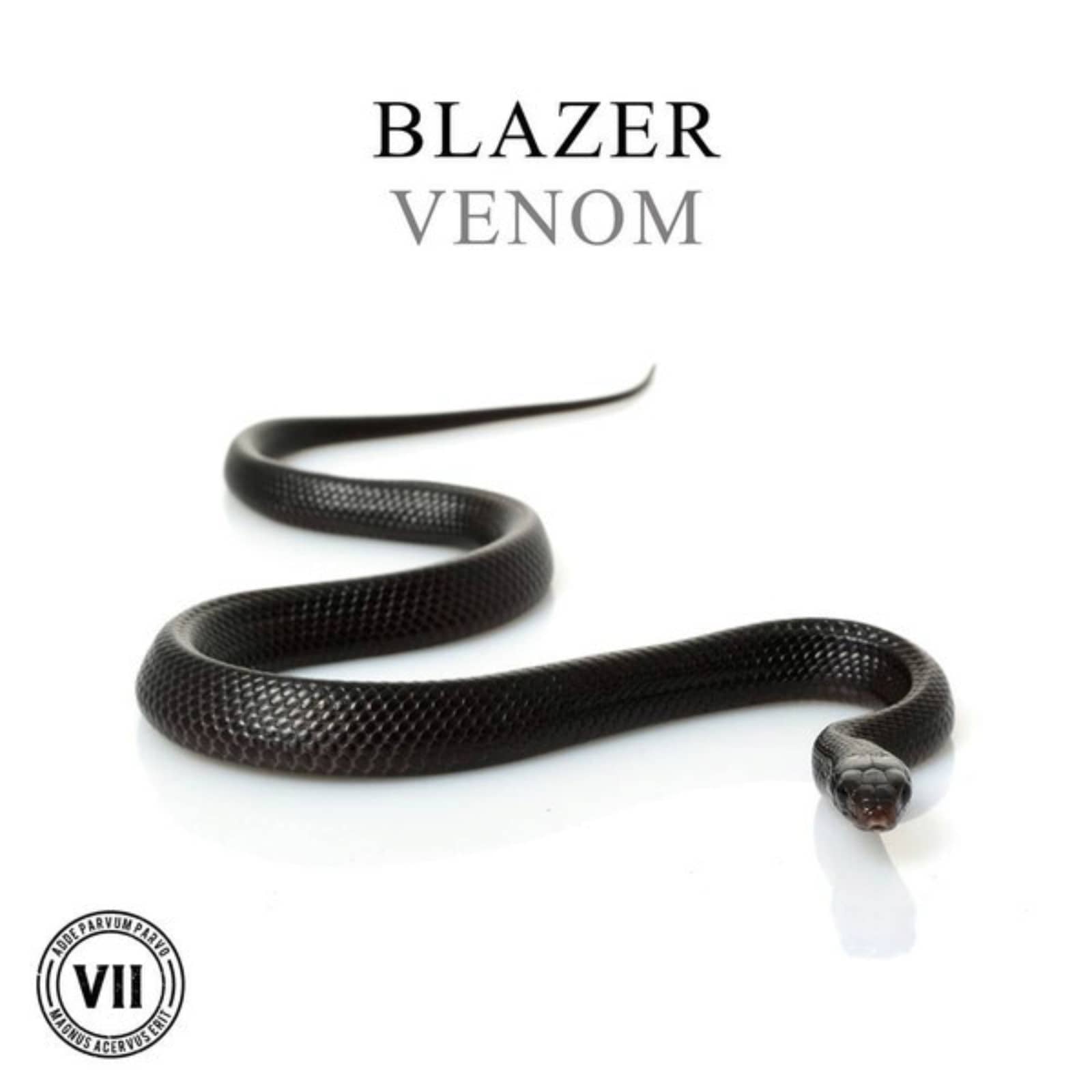 Blazer — Venom (Original Mix)