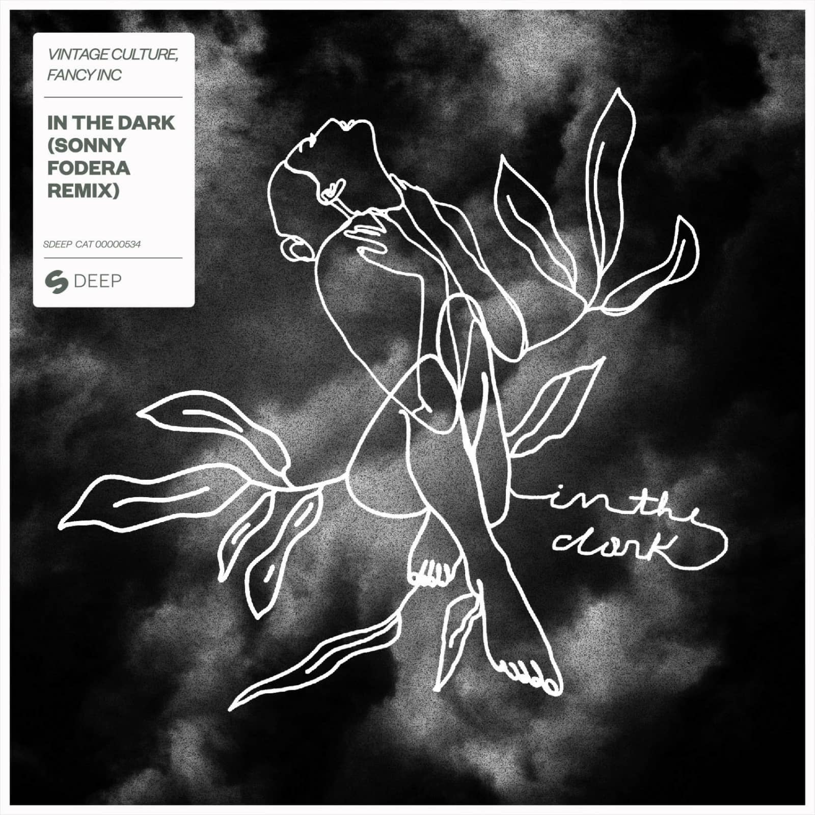 Vintage Culture, Fancy Inc — In The Dark (Sonny Fodera Remix)