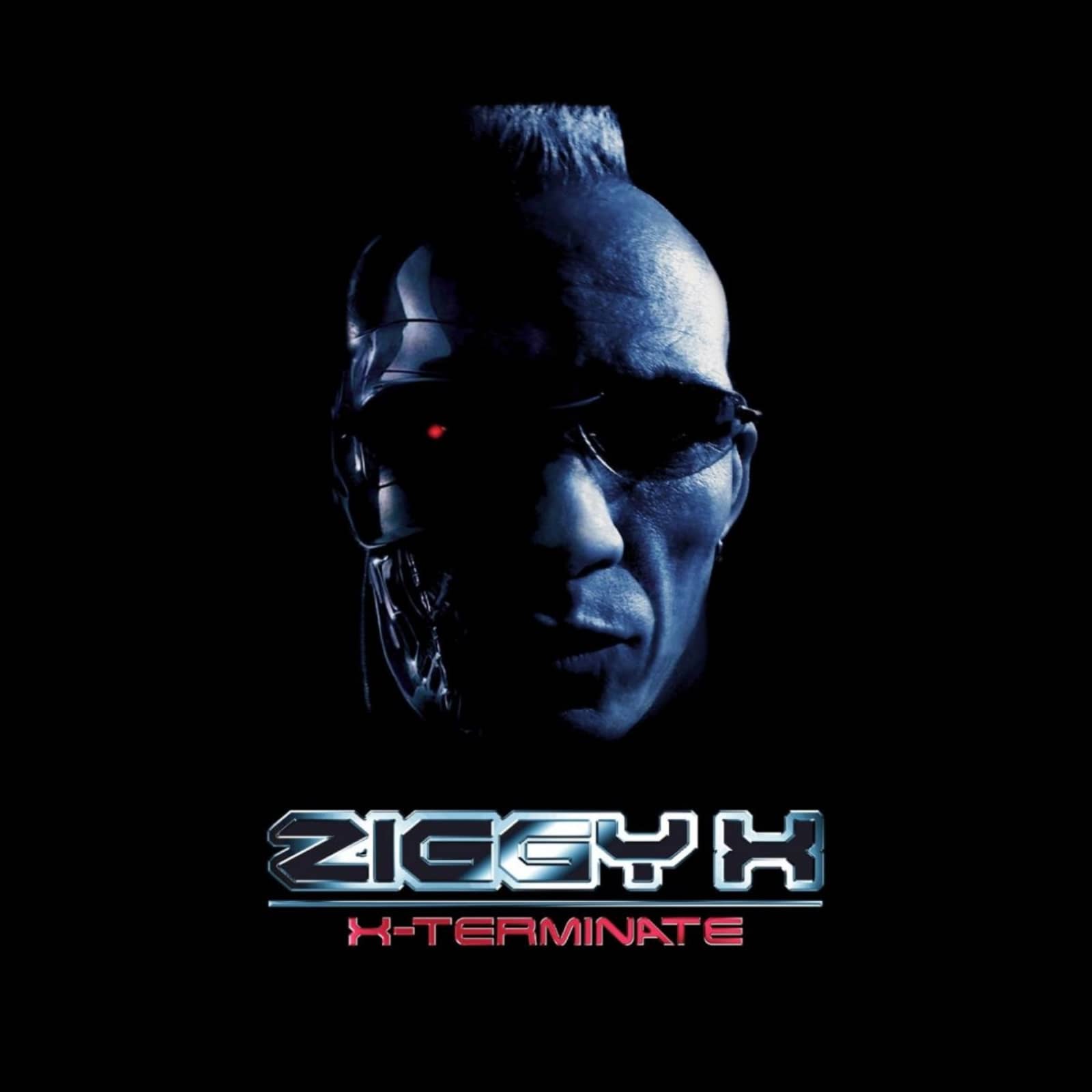 Ziggy X — X-Terminate (Short Mix)