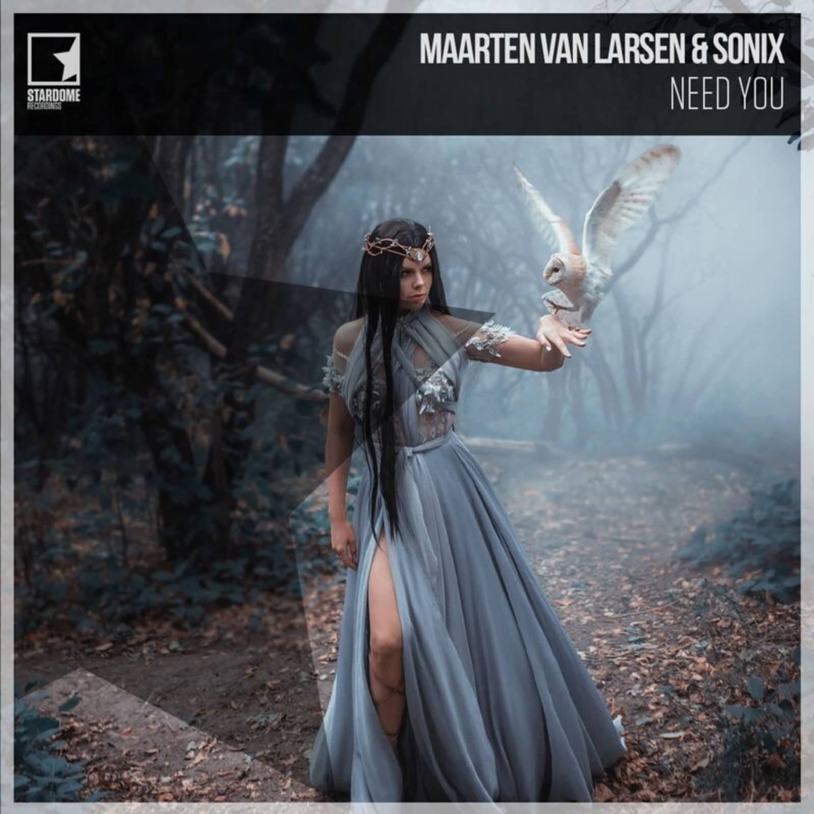 Maarten van Larsen & Sonix — Need You (Hands Up Mix)