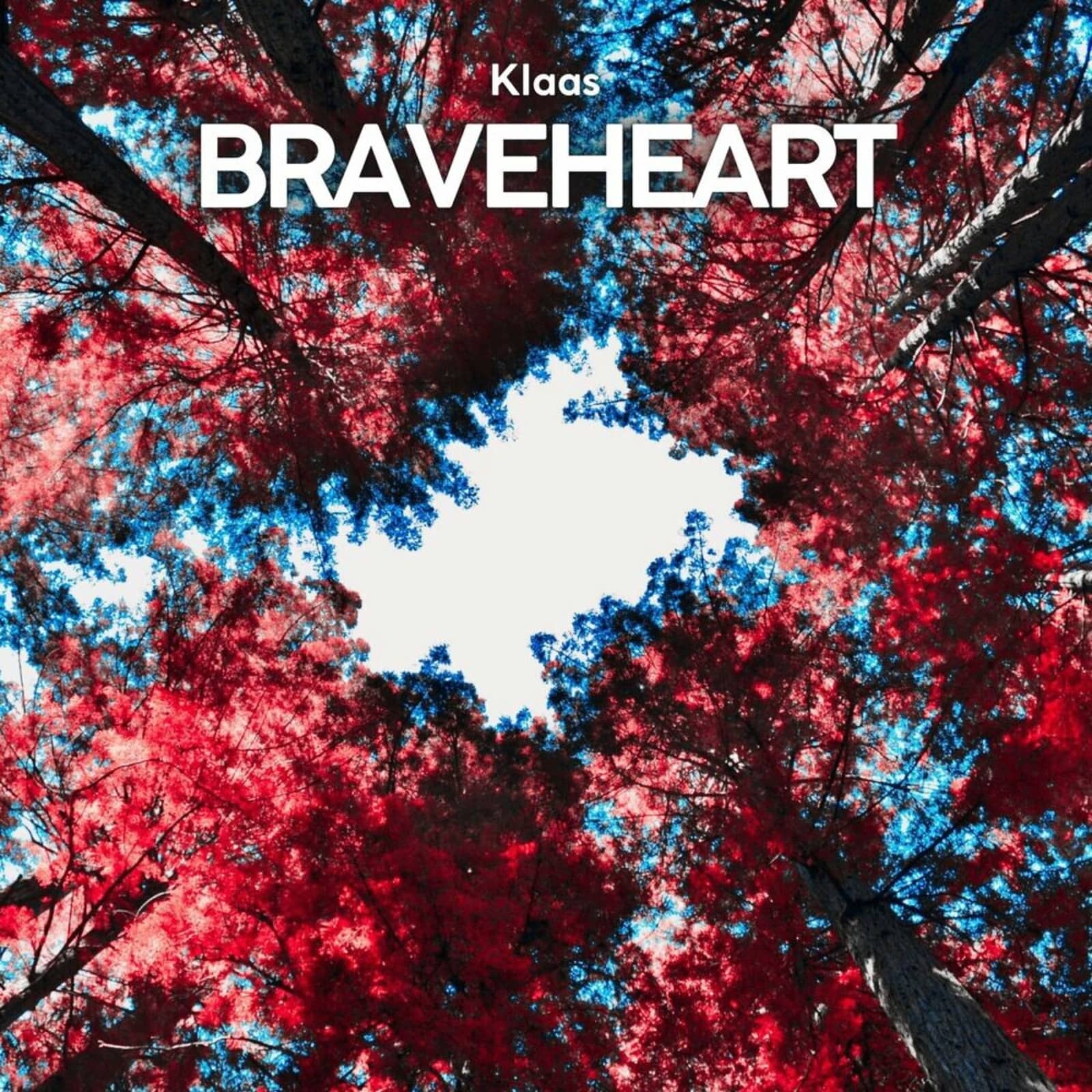 Klaas — Braveheart