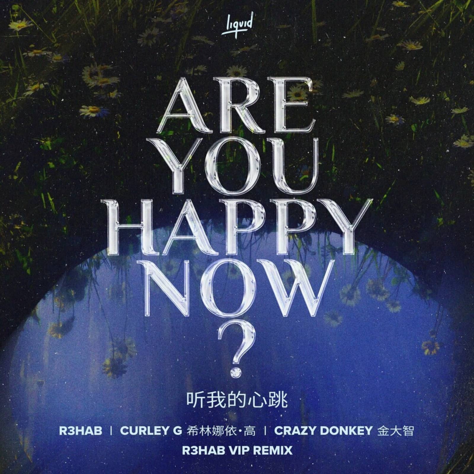 R3hab feat. Curley G & Crazy Donkey — Are You Happy Now (R3hab VIP Remix)