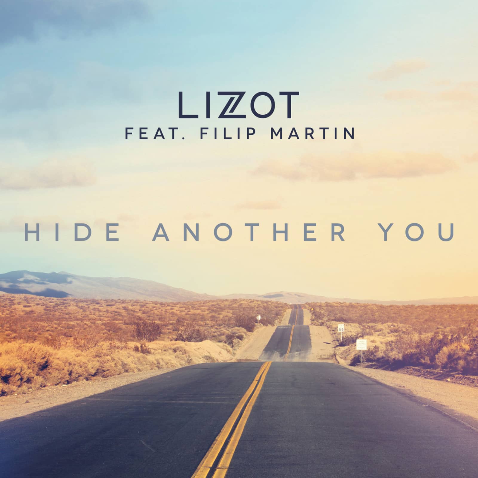 Lizot Feat. Filip Martin — Hide Another You (Crystal Rock & Blackbonez Remix)