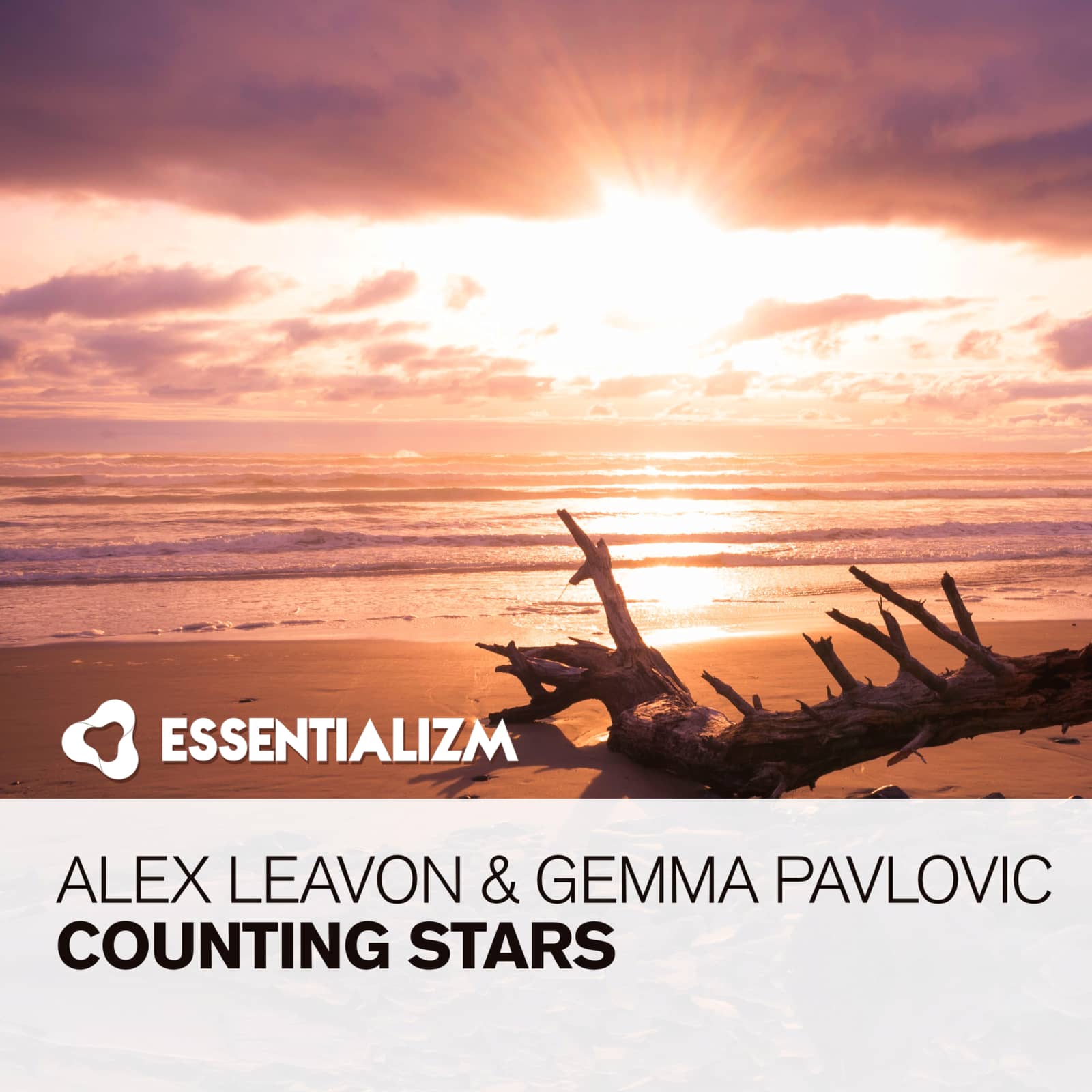 Alex Leavon & Gemma Pavlovic — Counting Stars (Original Mix)