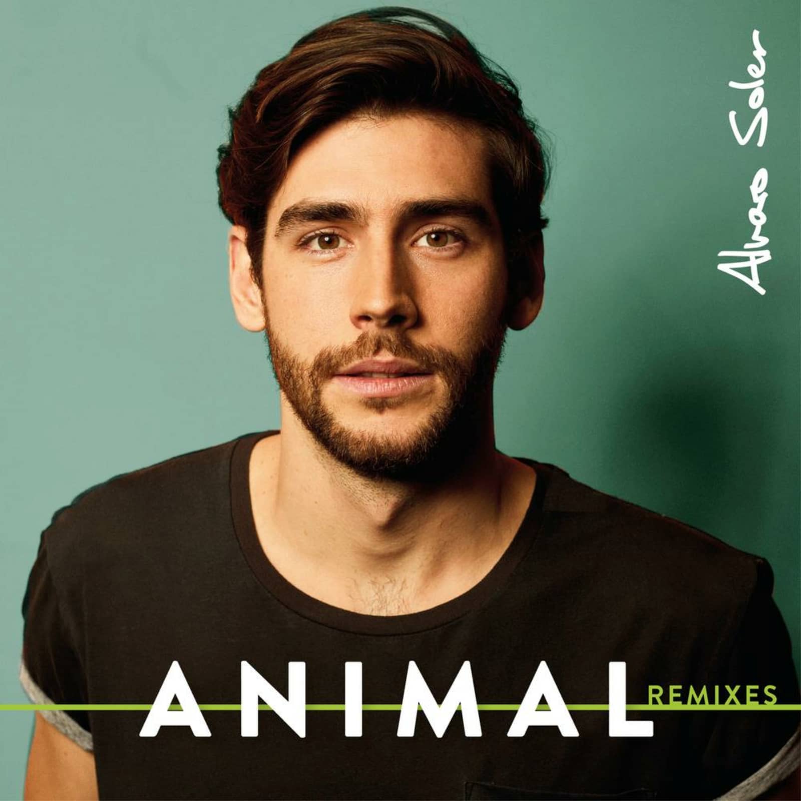 Alvaro Soler — Animal (radio edit)