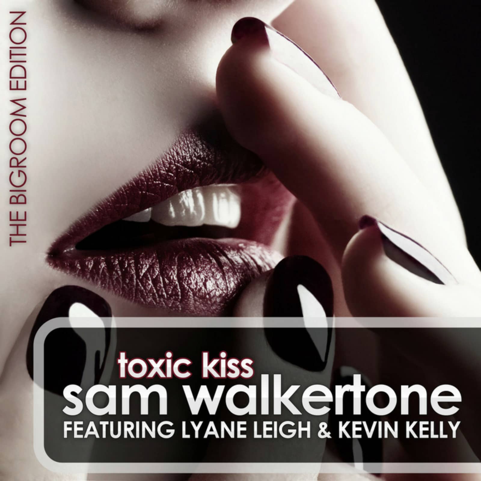 Sam Walkertone Feat. Lyane Leigh & Kevin Kelly — Toxic Kiss (Rocco & Bass-T Remix Edit)