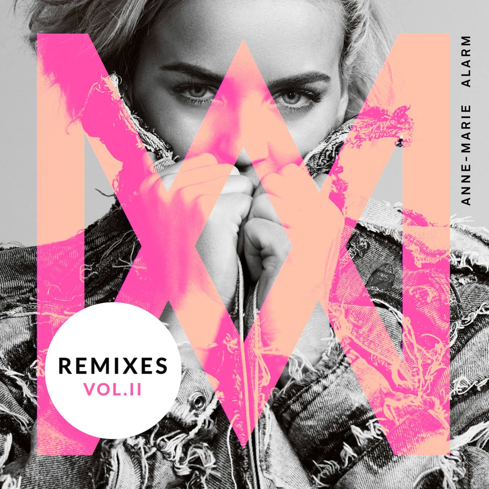 Anne-Marie — Alarm (Dave Winnel Remix)