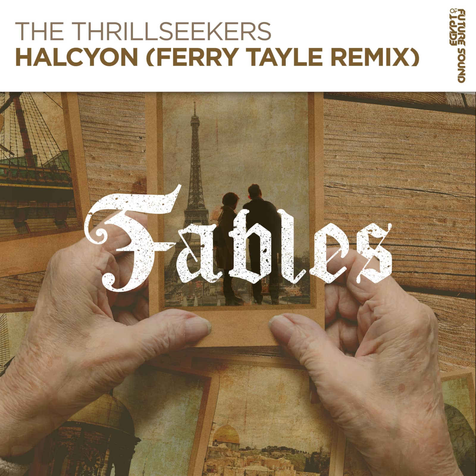 Thrillseekers, The — Halcyon (Ferry Tayle Remix)