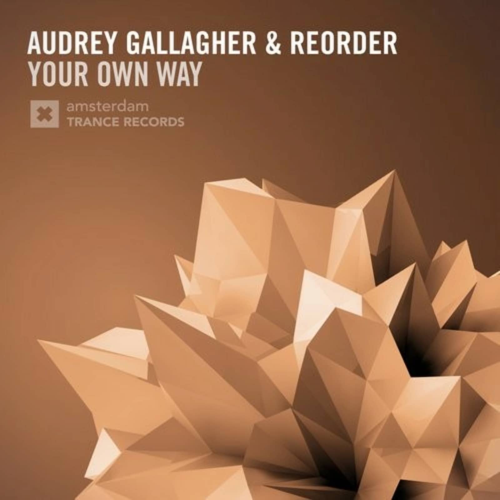 Audrey Gallagher & ReOrder — Your Own Way (Original Mix)