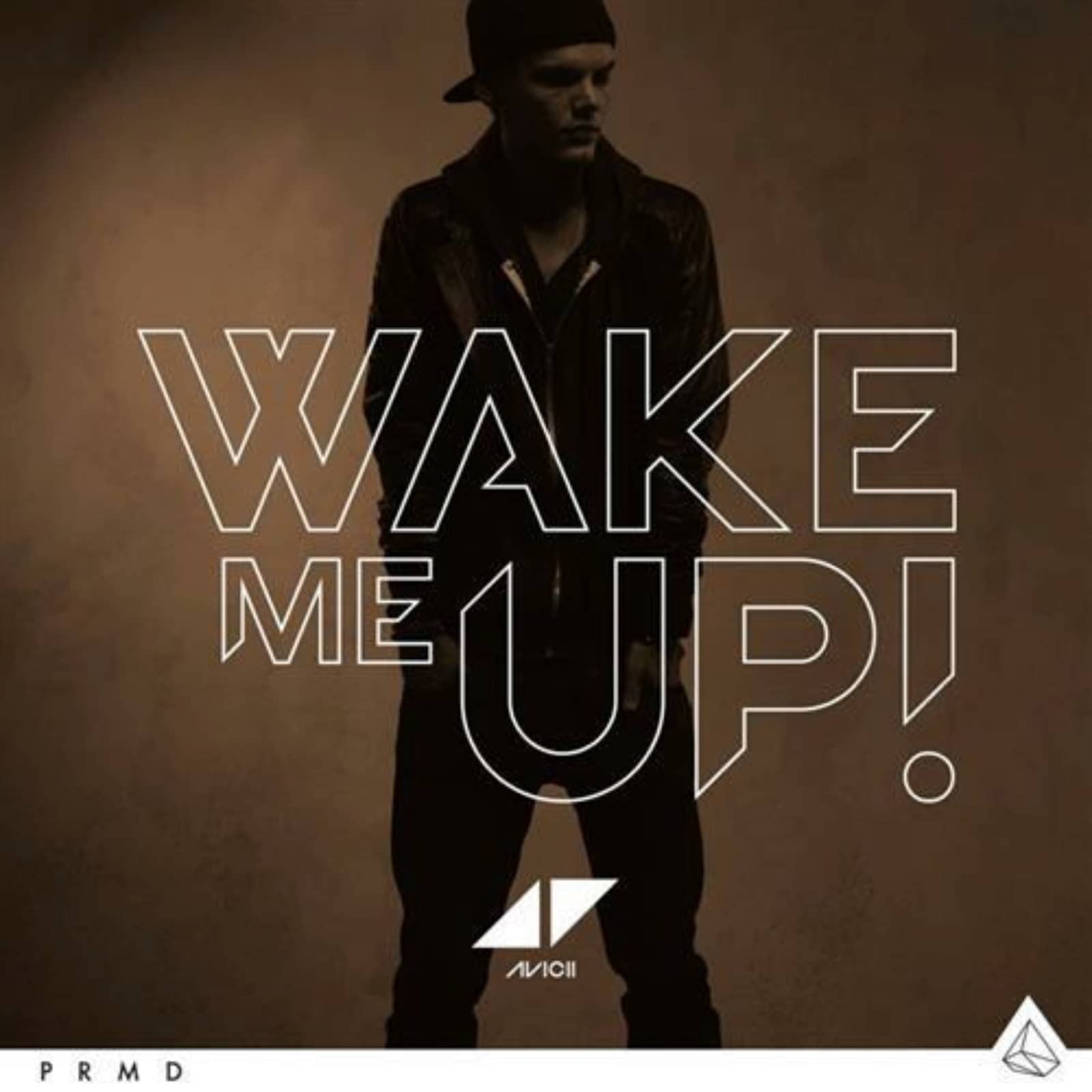 Avicii — Wake Me Up