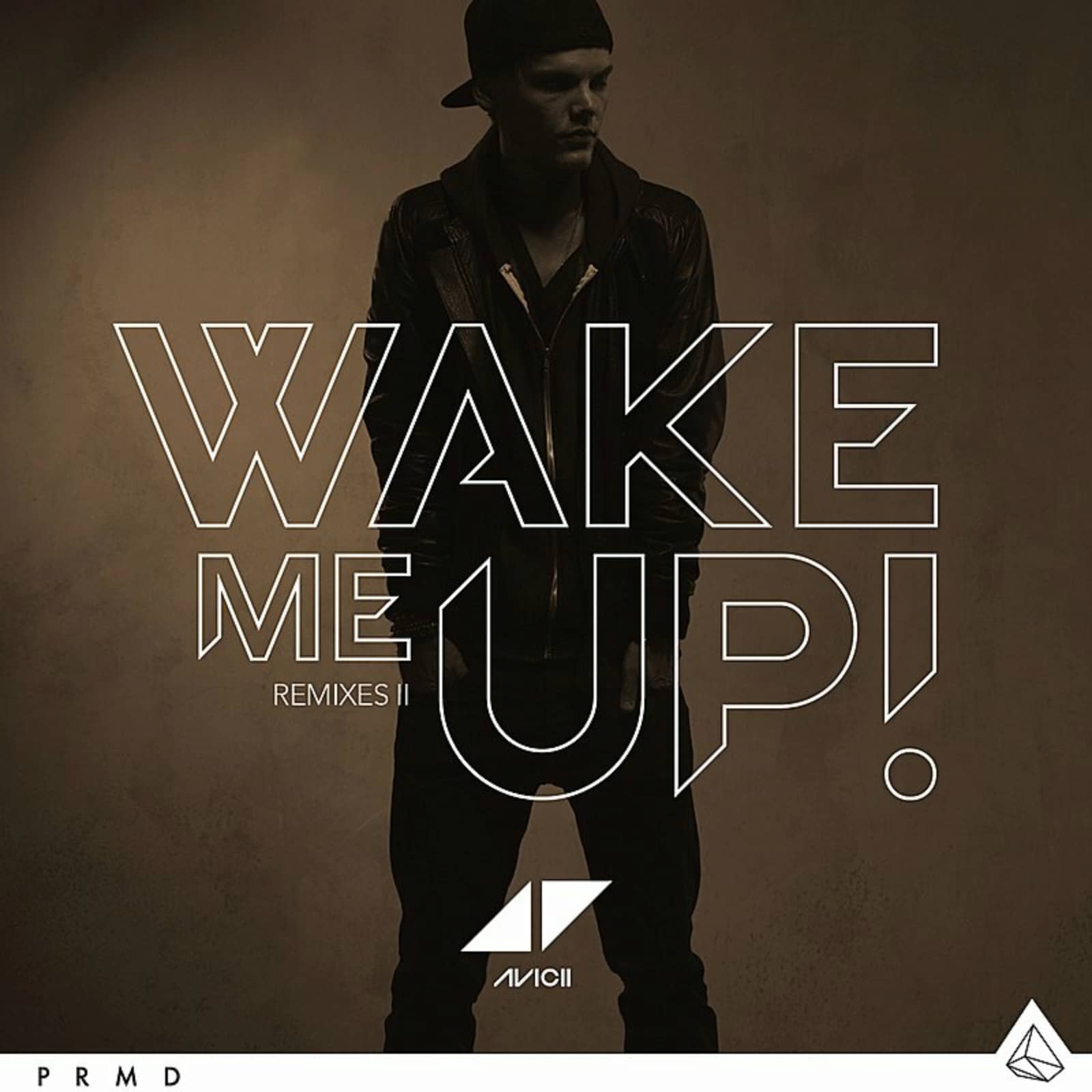 Avicii Ft. Aloe Blacc — Wake Me Up (Danceboy Remix)