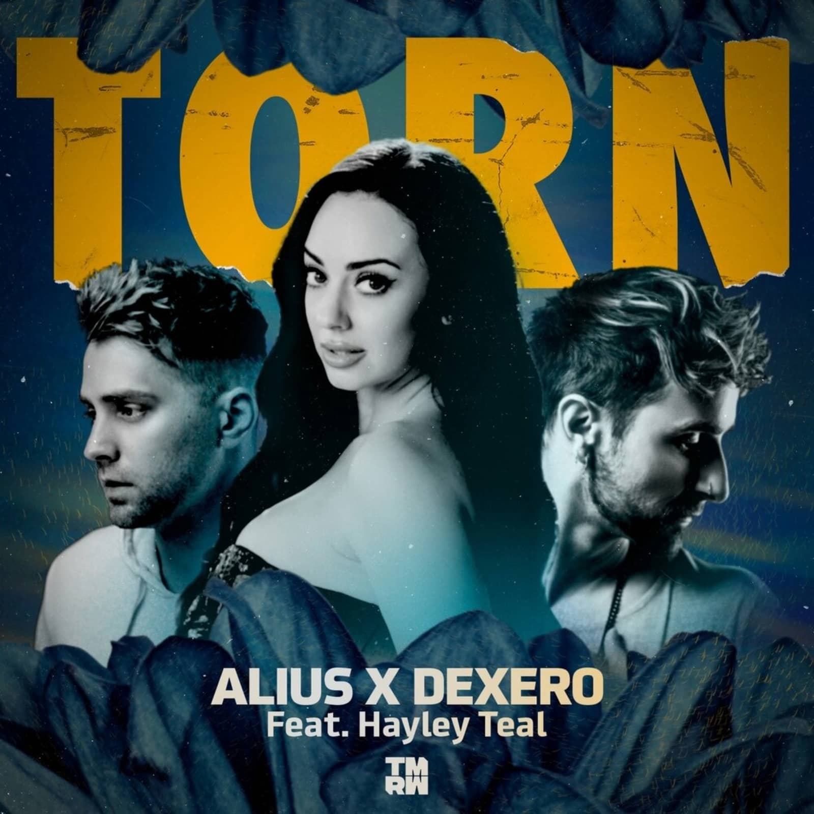 Alius x Dexero feat. Hayley Teal — Torn