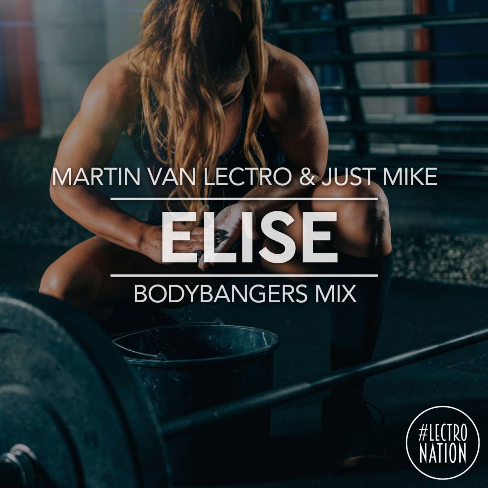 Martin Van Lectro & Just Mike & Bodybangers — Elise (Bodybangers Mix)