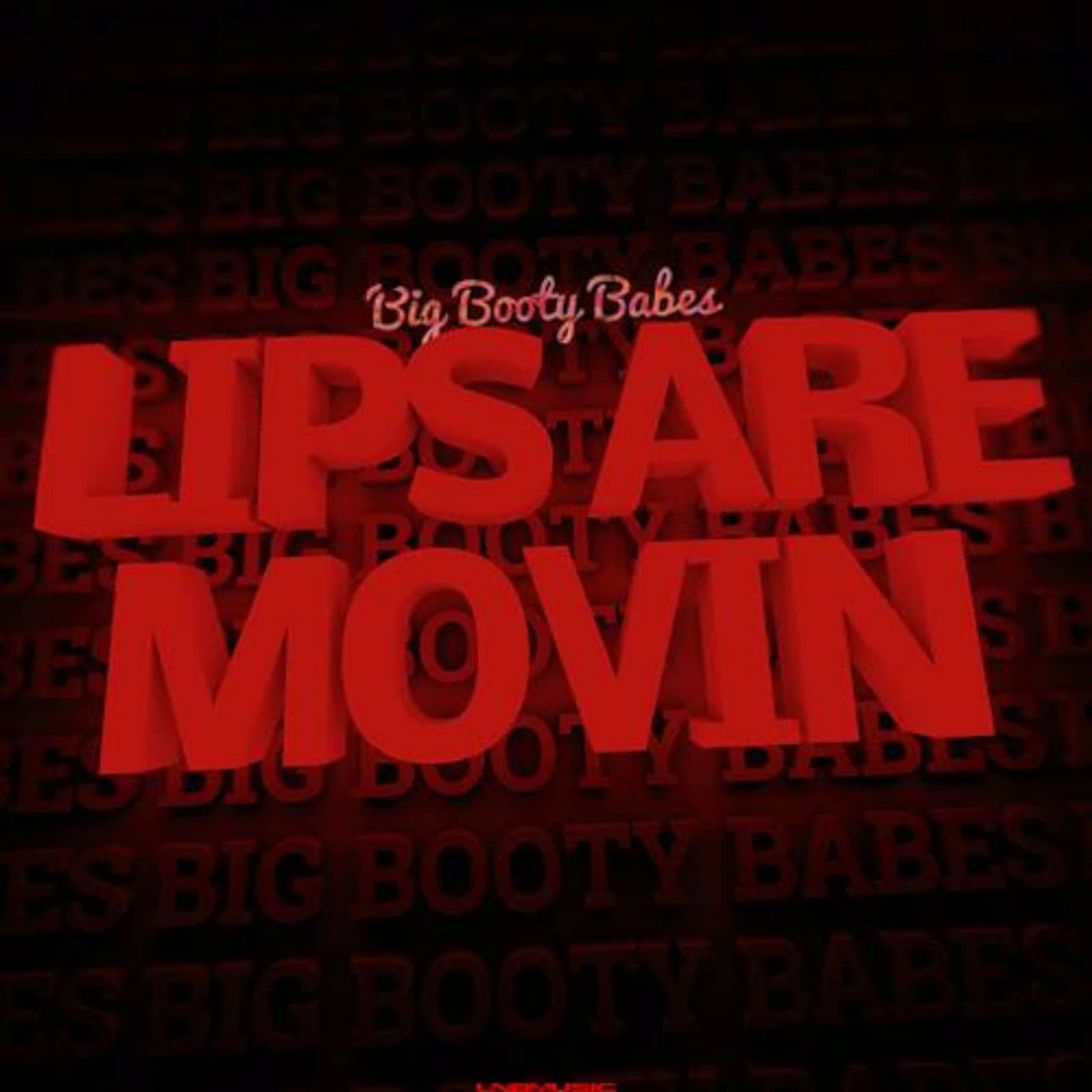 Big Booty Babes — Lips Are Movin (DRM Remix)