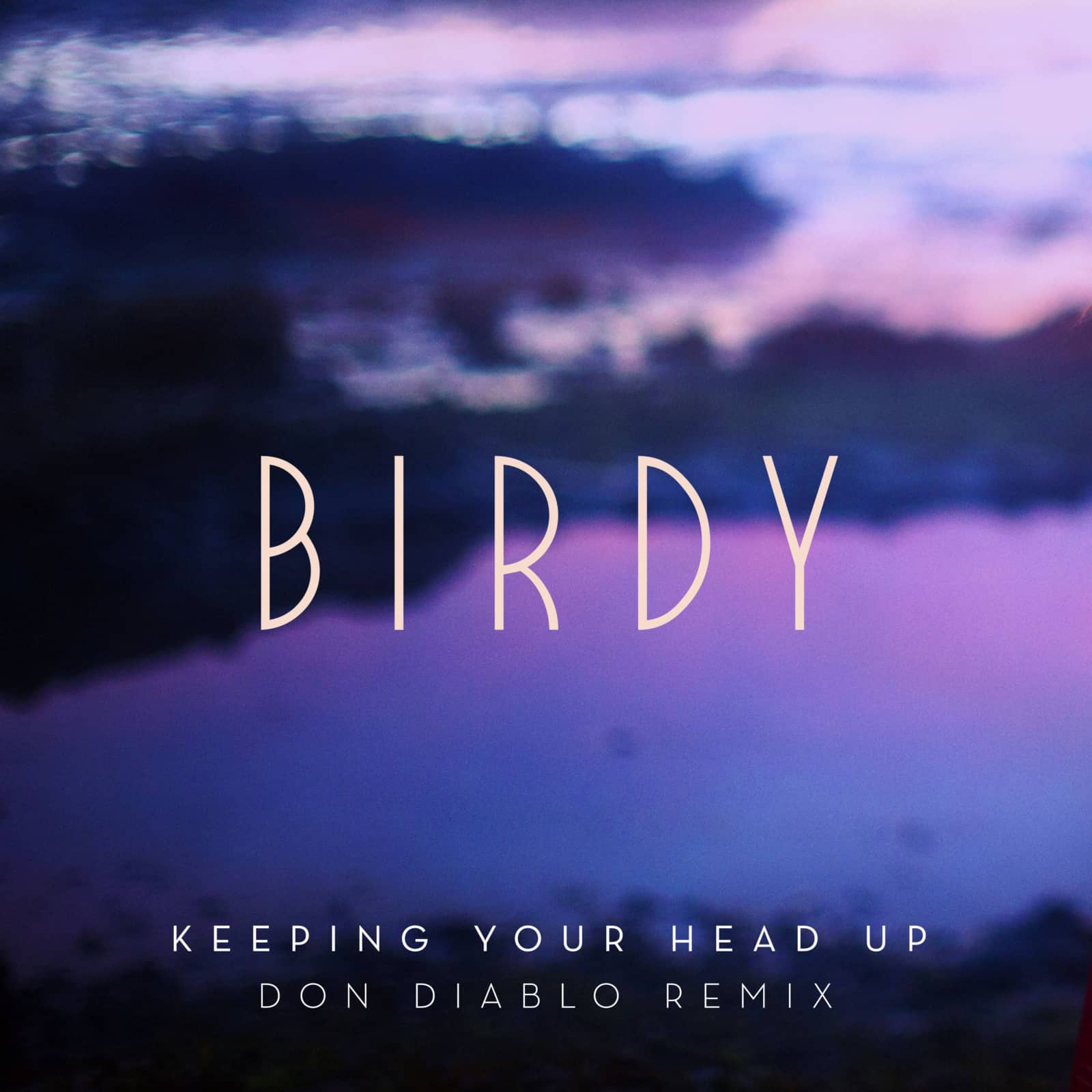 Birdy — Keeping Your Head Up (Don Diablo Remix - Radio Edit)