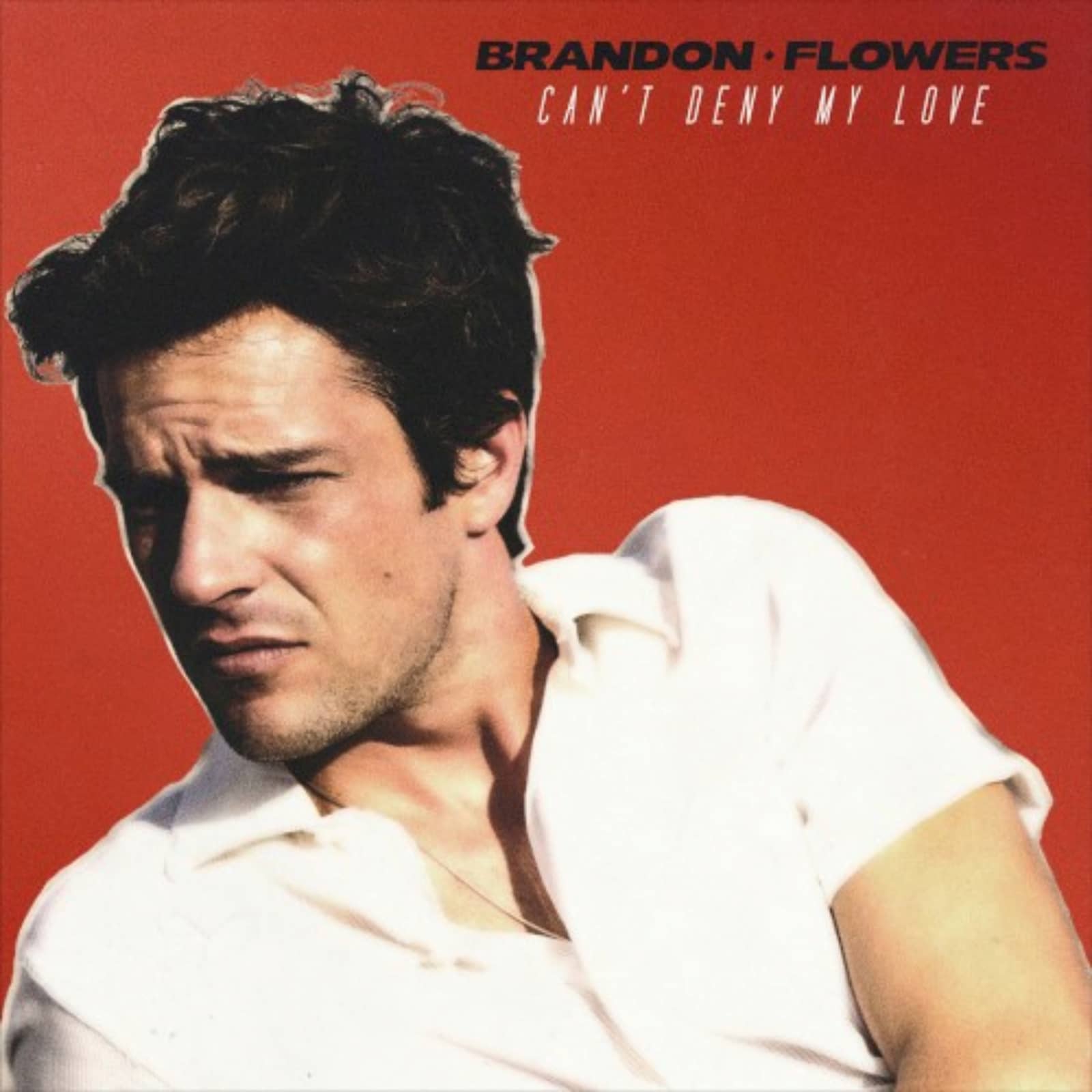 Brandon Flowers — Can't Deny My Love
