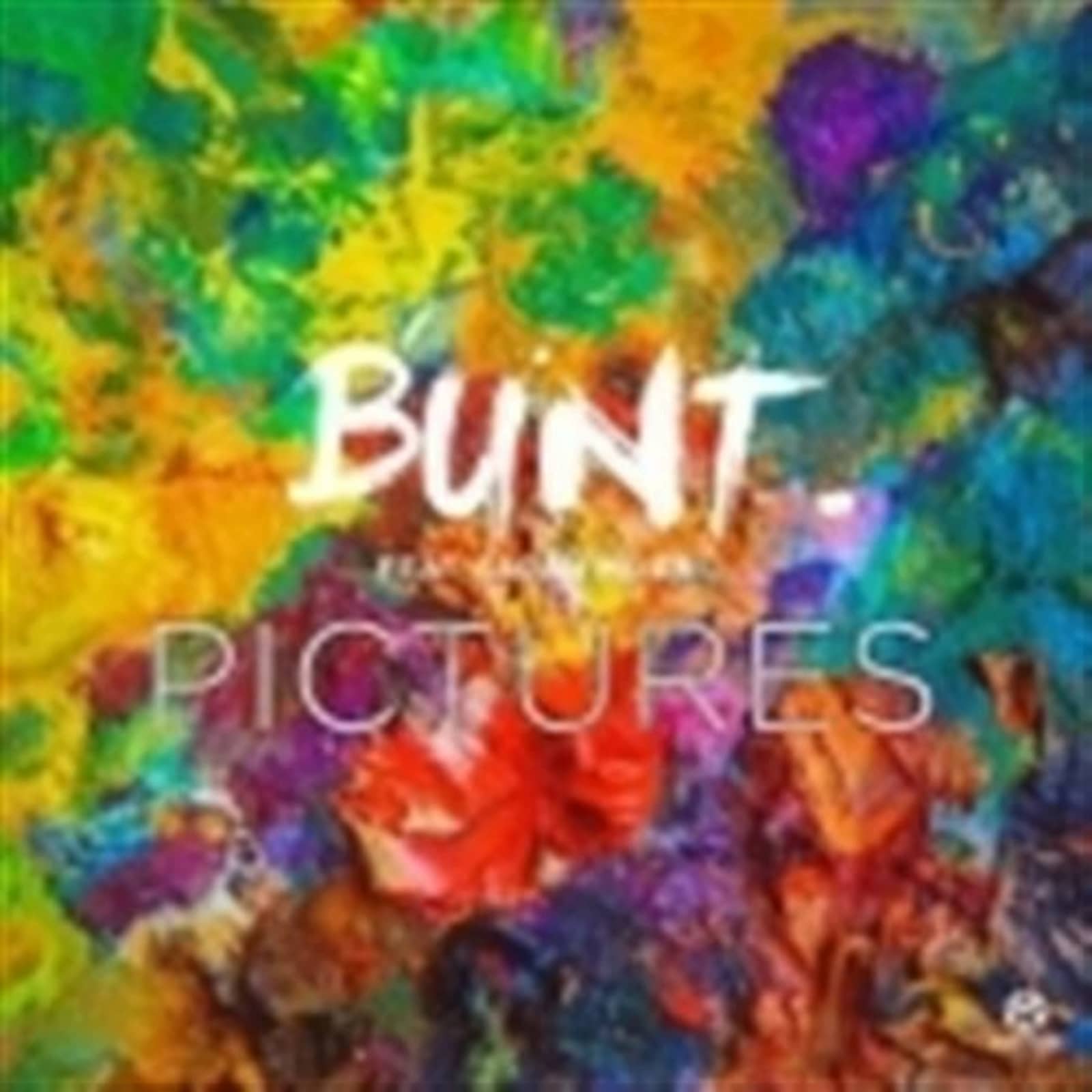 Bunt Feat Sarah Miles — Pictures (Extended Mix)