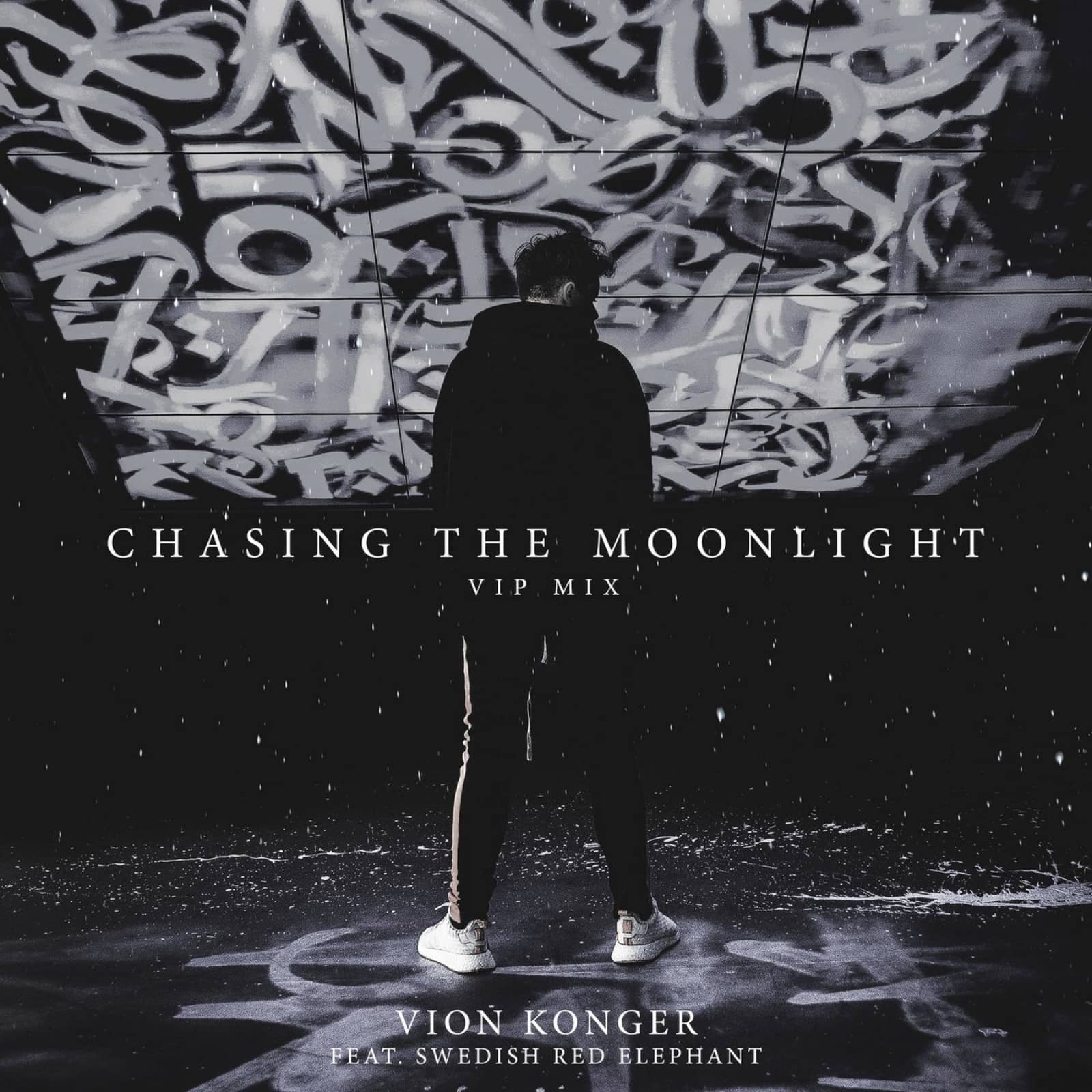 Vion Konger Feat. Swedish Red Elephant — Chasing The Moonlight (VIP Mix)